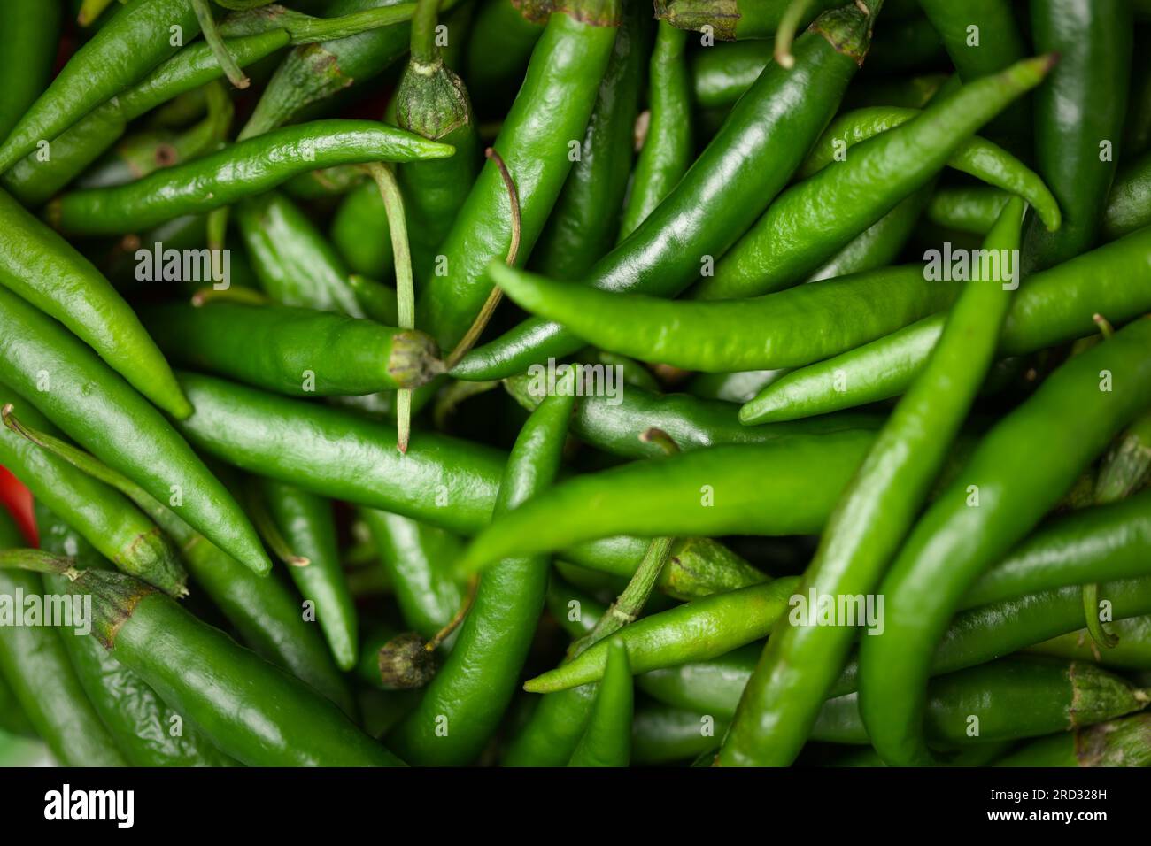 Gros plan de piment vert frais Indian Organic ( Capsicum annuum ) comme fond plein cadre Banque D'Images