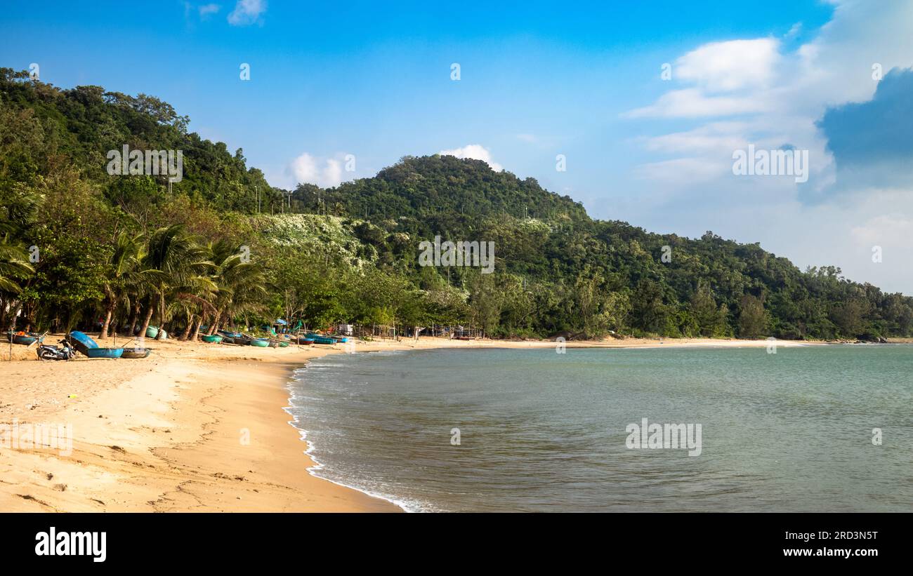 Une vue le long de la plage sud bordée de palmiers (Bãi Nam) avec des coracles traditionnels tirés sur le sable par des pêcheurs locaux à son Tra, Danang, Vietnam Banque D'Images