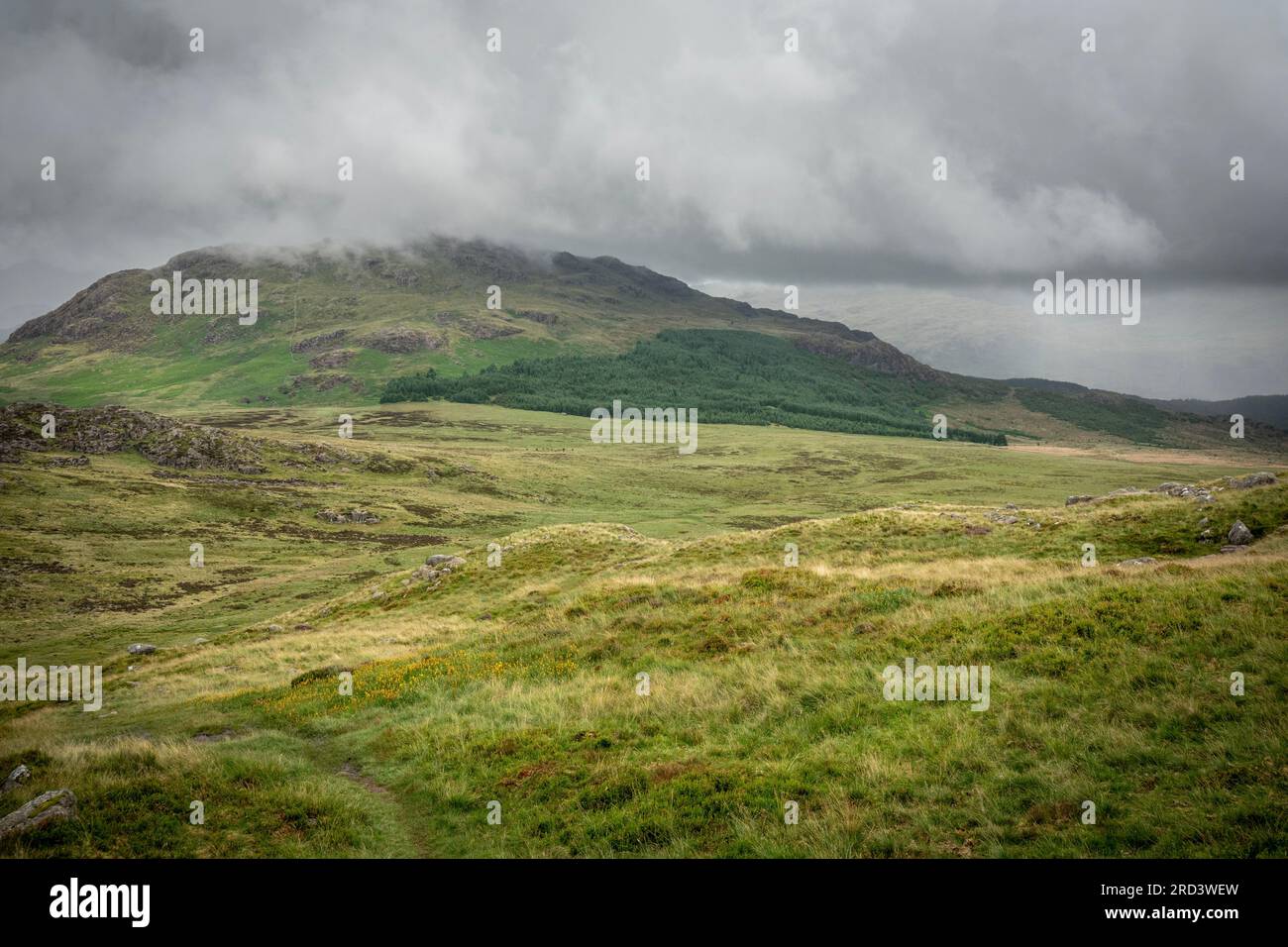 Harter est tombé près d'Eskdale, Cumbria Banque D'Images