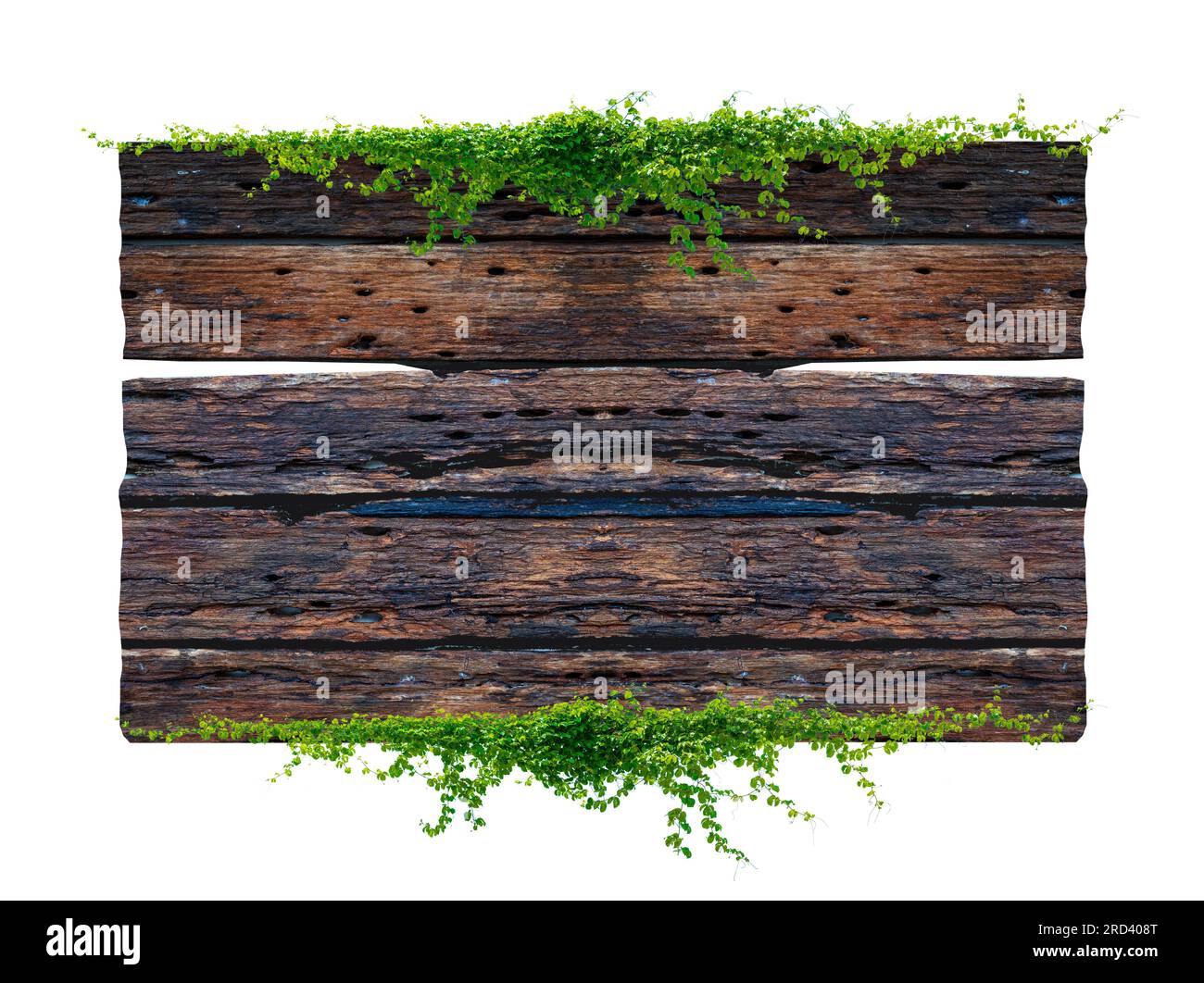 Fond de cadre de planche antique brun foncé avec des feuilles tropicales et des vignes grimpantes sur le bord de la planche. Banque D'Images