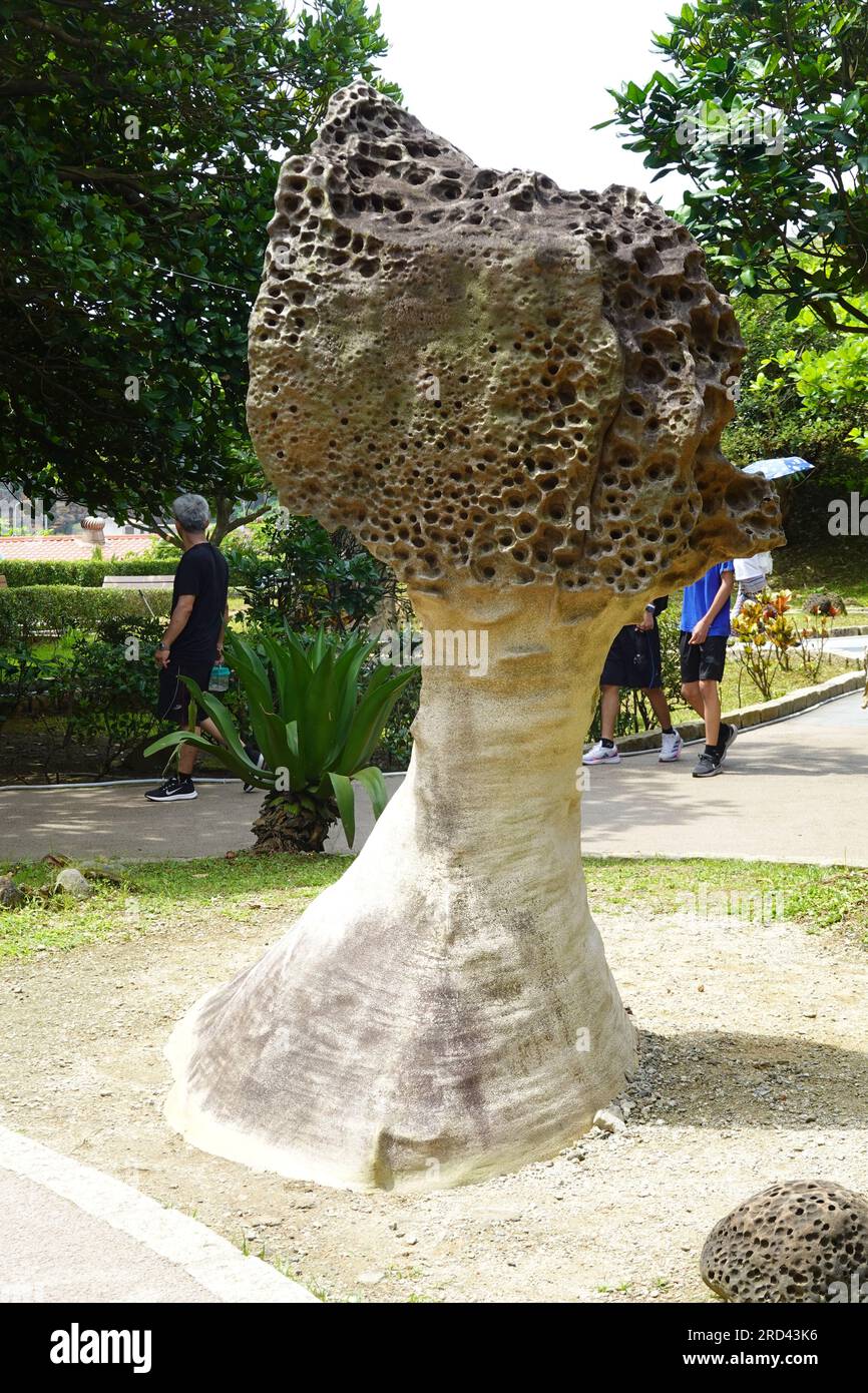 Yehliu Gepark roches altérées par la mer, le temps et le mouvement de la terre pour créer un paysage géologique unique, Yehliu Cape près de Taipei, en Chine Banque D'Images