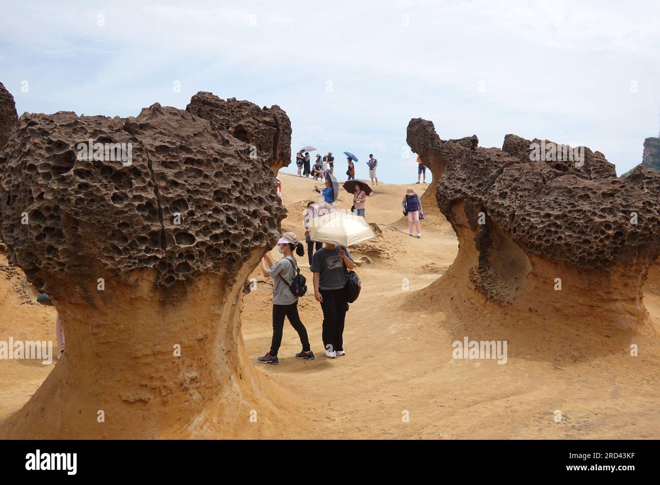 Yehliu Gepark roches altérées par la mer, le temps et le mouvement de la terre pour créer un paysage géologique unique, Yehliu Cape près de Taipei, en Chine Banque D'Images