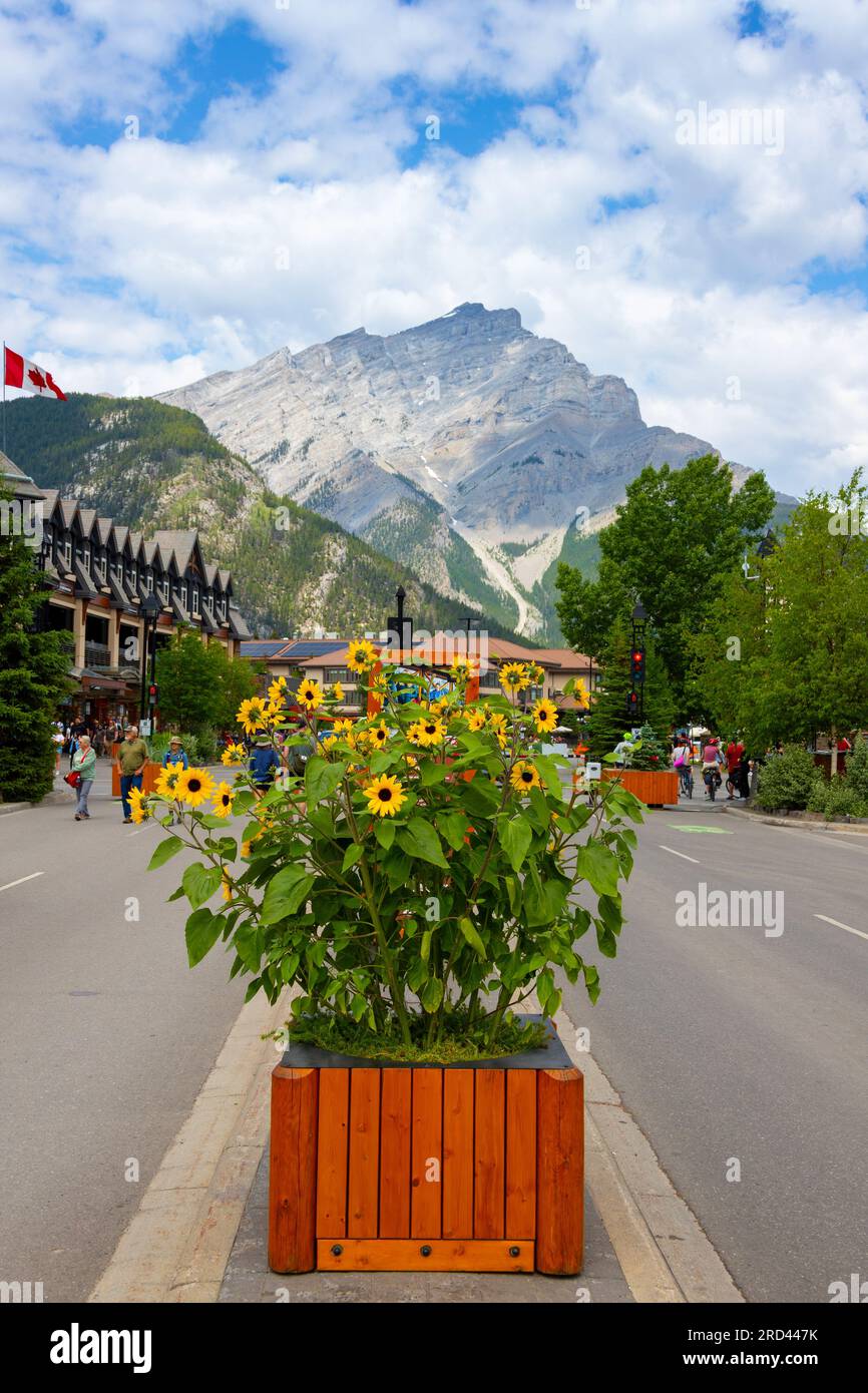 BANFF, CANADA - 5 JUILLET 2023 : site urbain de Banff dans le parc national Banff avec Cascade Mountain en arrière-plan. Le site urbain est une tournée canadienne majeure Banque D'Images