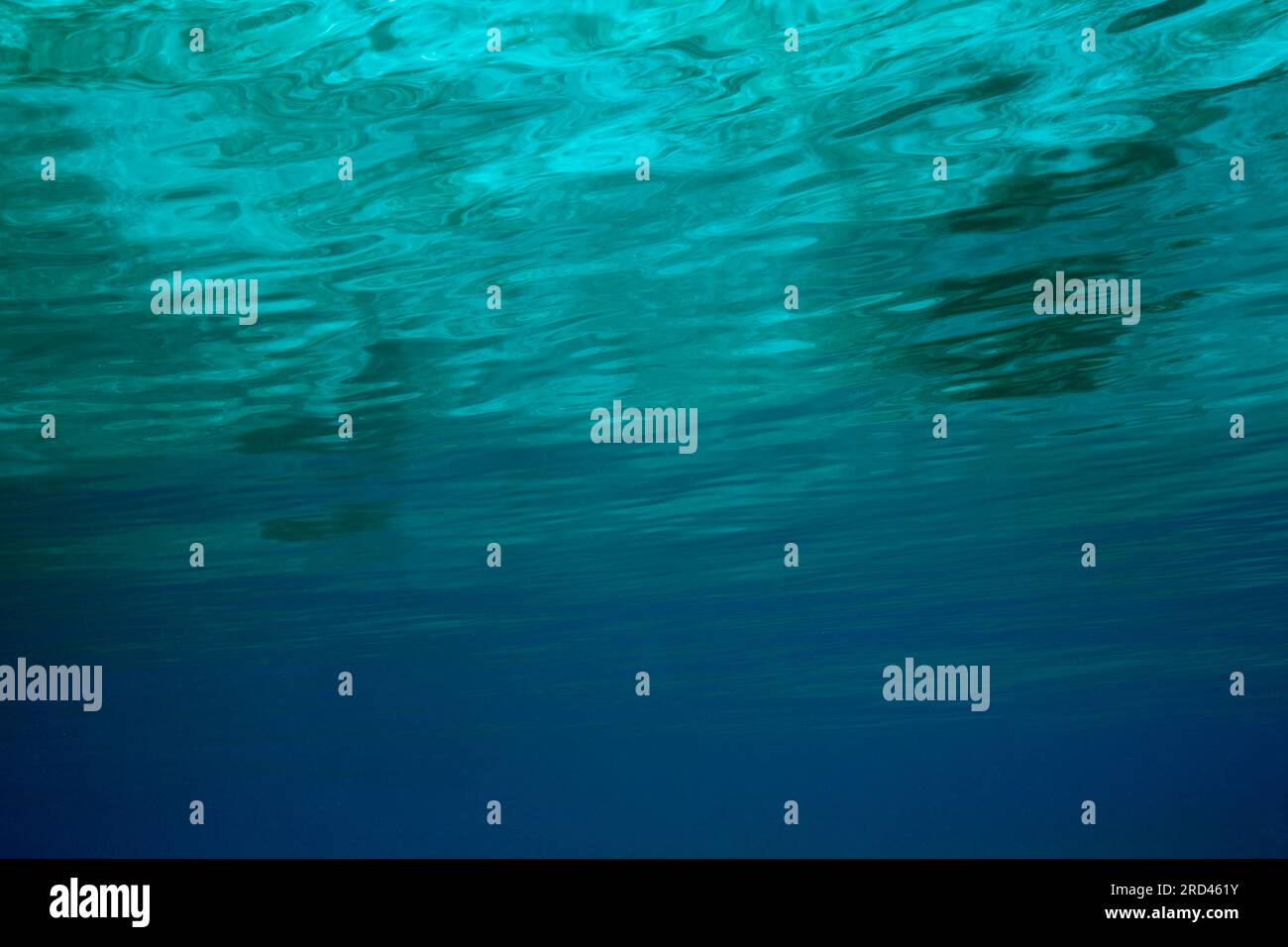Surface de l'eau sous-marine, Raja Ampat, Papouasie occidentale, Indonésie Banque D'Images