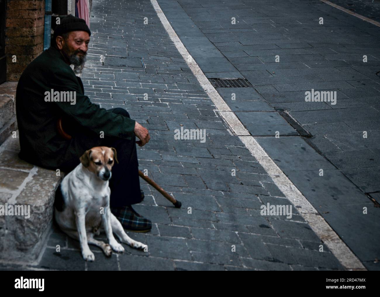 Vagabond et Beagle dans les rues d'Assise Italie Banque D'Images