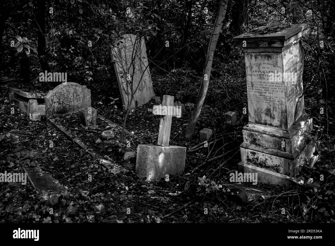 Tombes envahies dans le cimetière de Nunhead, Londres, Royaume-Uni Banque D'Images