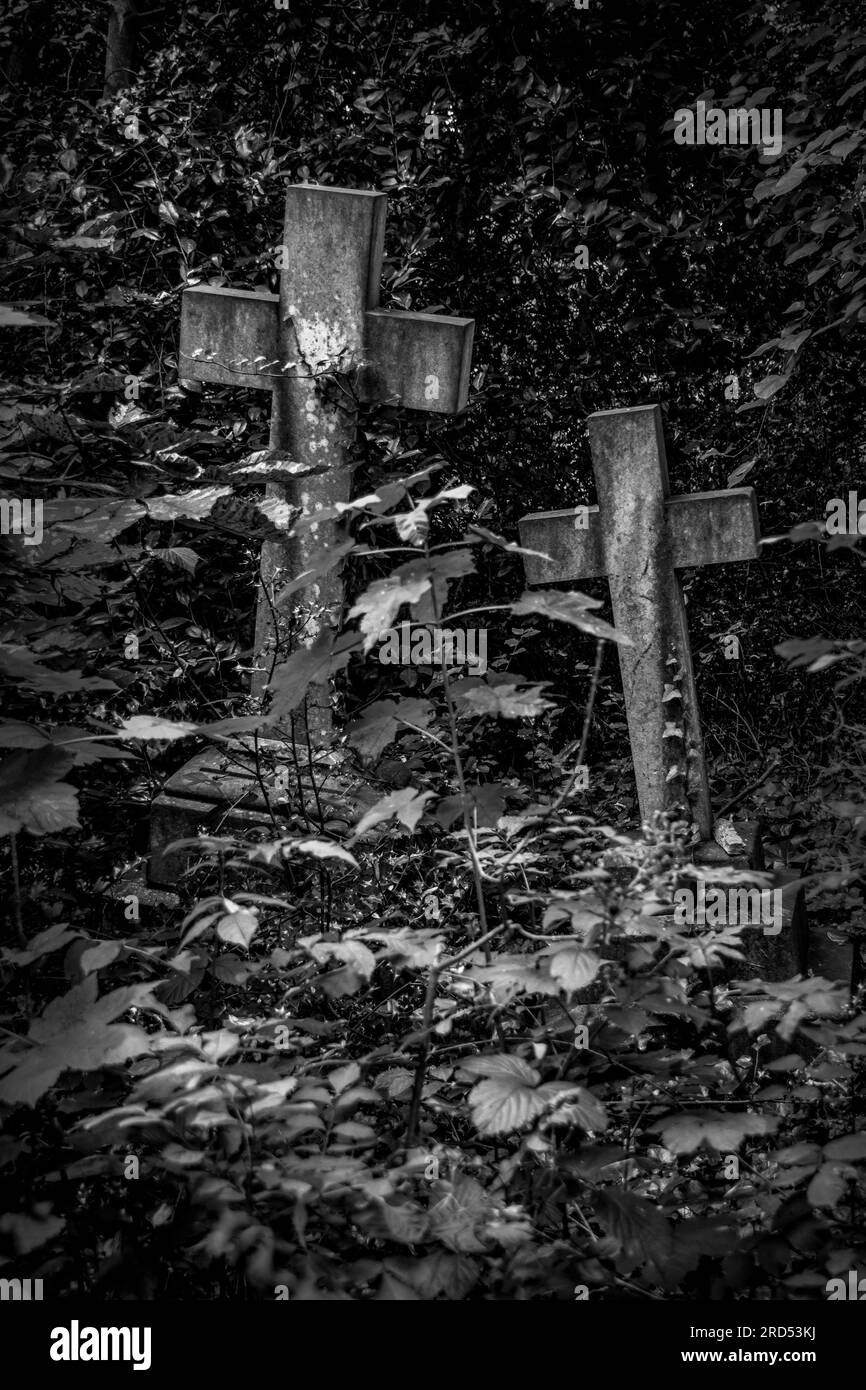 Tombes envahies dans le cimetière de Nunhead, Londres, Royaume-Uni Banque D'Images