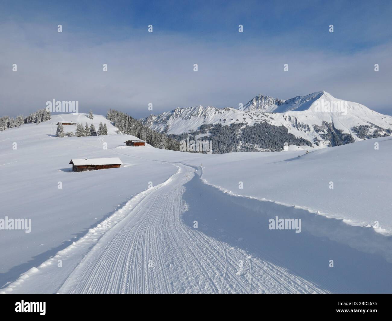 Promenade hivernale sur la Wispile Banque D'Images