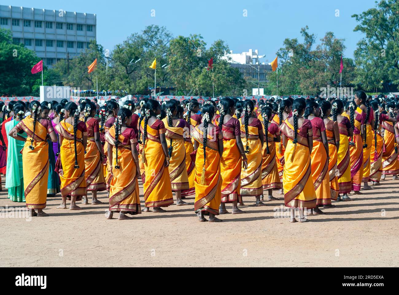 Filles exécutant des danses de groupe, célébration de Pongal à Madurai, Tamil Nadu, Inde du Sud, Inde, Asie Banque D'Images