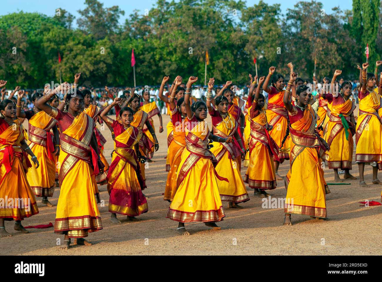 Filles exécutant des danses de groupe, célébration de Pongal à Madurai, Tamil Nadu, Inde du Sud, Inde, Asie Banque D'Images