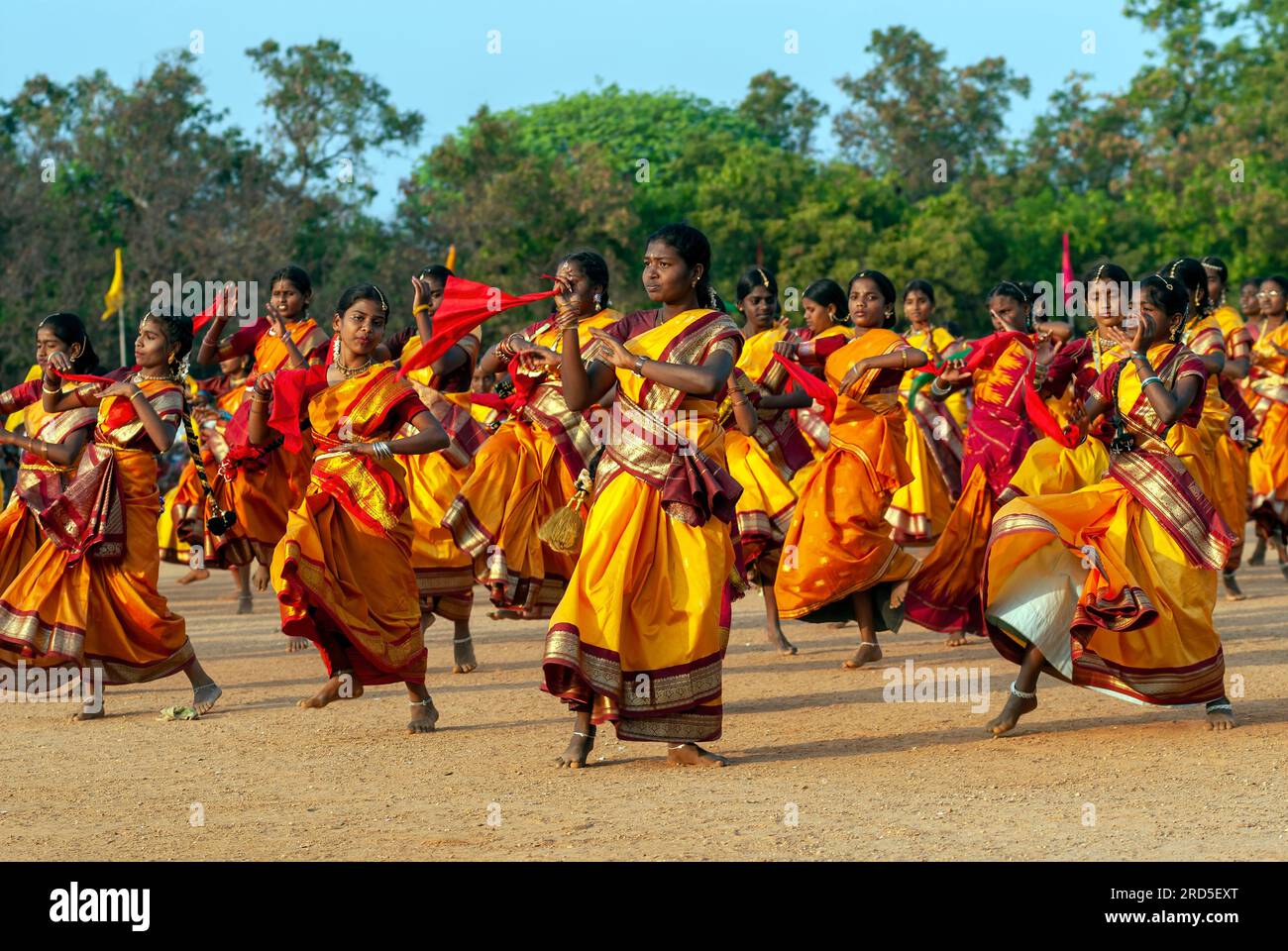 Filles exécutant des danses de groupe, célébration de Pongal à Madurai, Tamil Nadu, Inde du Sud, Inde, Asie Banque D'Images
