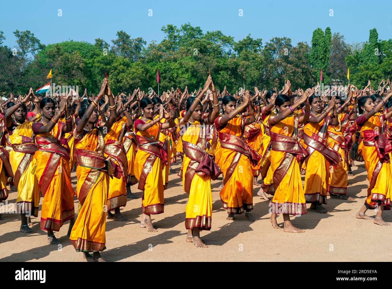 Filles exécutant des danses de groupe, célébration de Pongal à Madurai, Tamil Nadu, Inde du Sud, Inde, Asie Banque D'Images