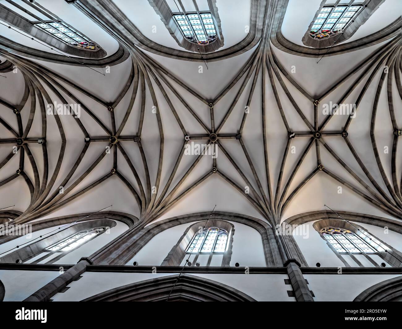 Voûte côtelée gothique vue d'en bas dans la basilique historique de la Sainte Trinité, Cracovie Pologne Banque D'Images