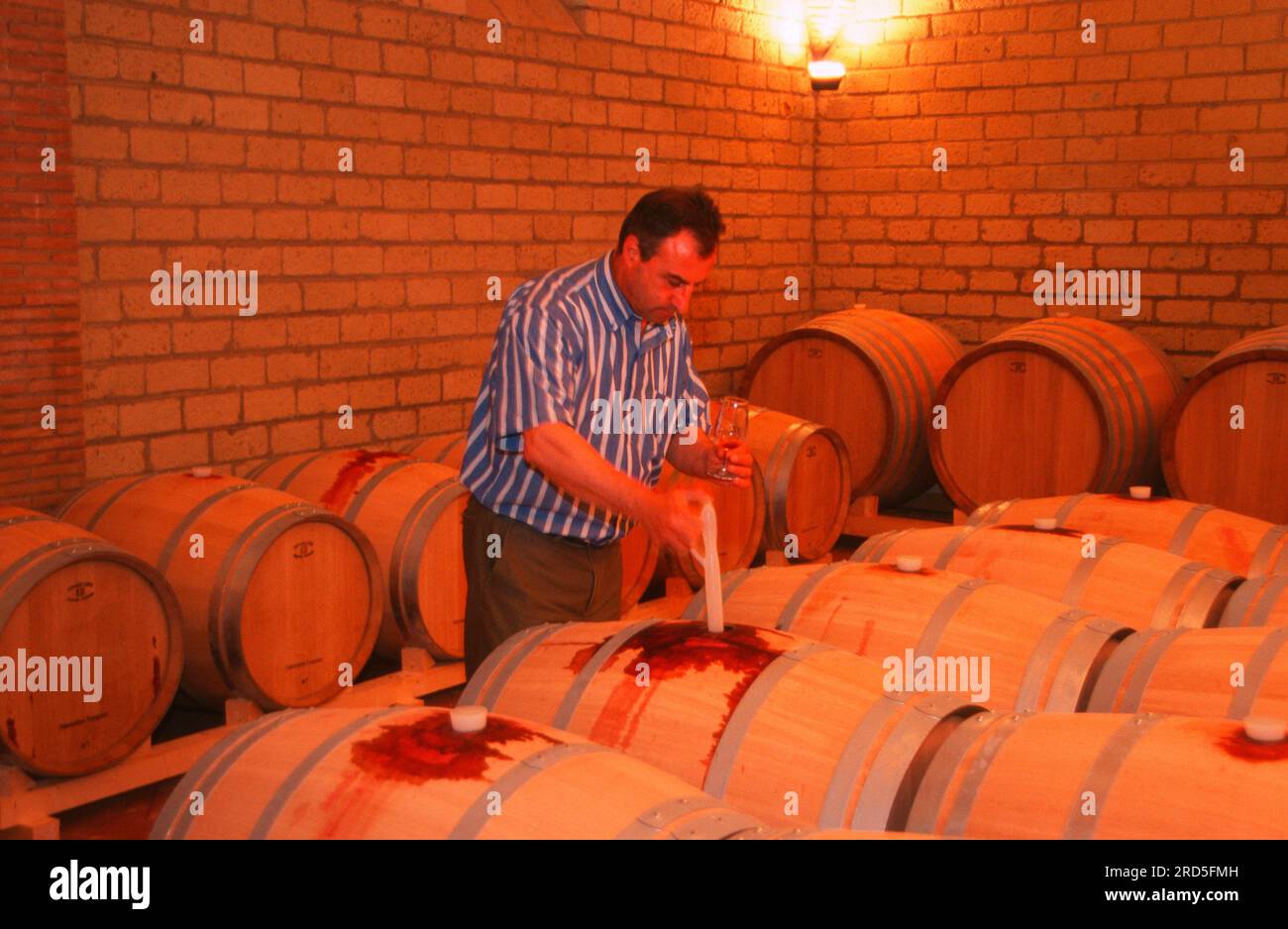 Homme teste le vin, tonneaux de vin, cave, Solopaca, Campanie, Italie, tonneau de vin, dégustation de vin, cave à vin Banque D'Images