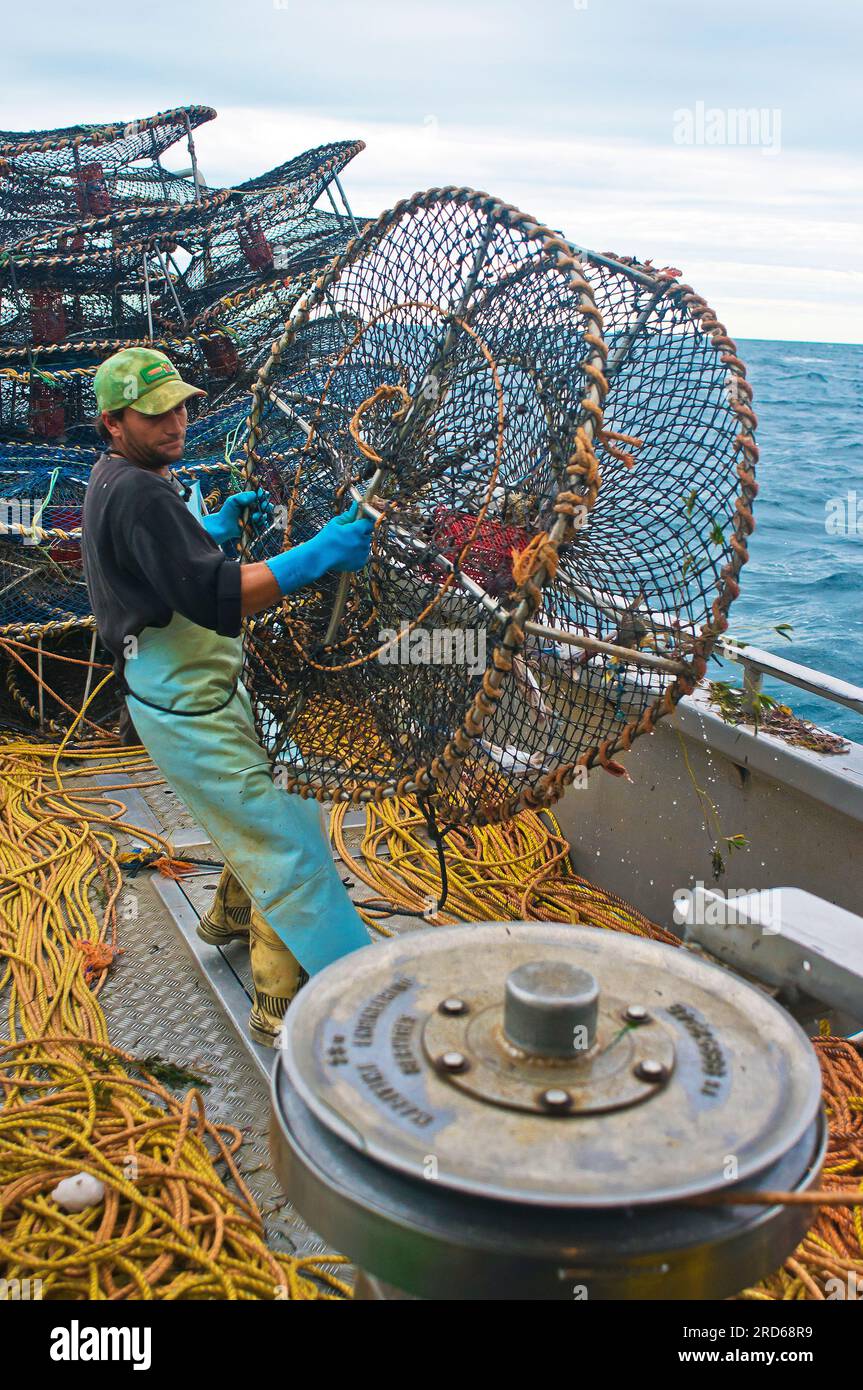 Pêcheur de crabes transportant des pots en mer à Shark Bay, Australie occidentale Banque D'Images