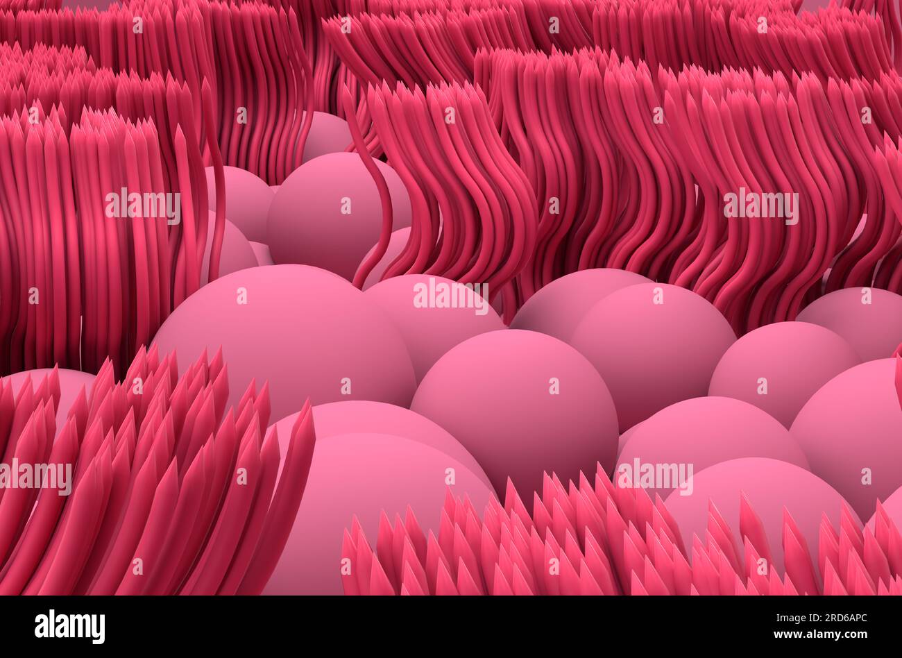 Lignes de muqueuse nasale (épihtélium respiratoire) - vue en gros plan illustration 3D. Banque D'Images