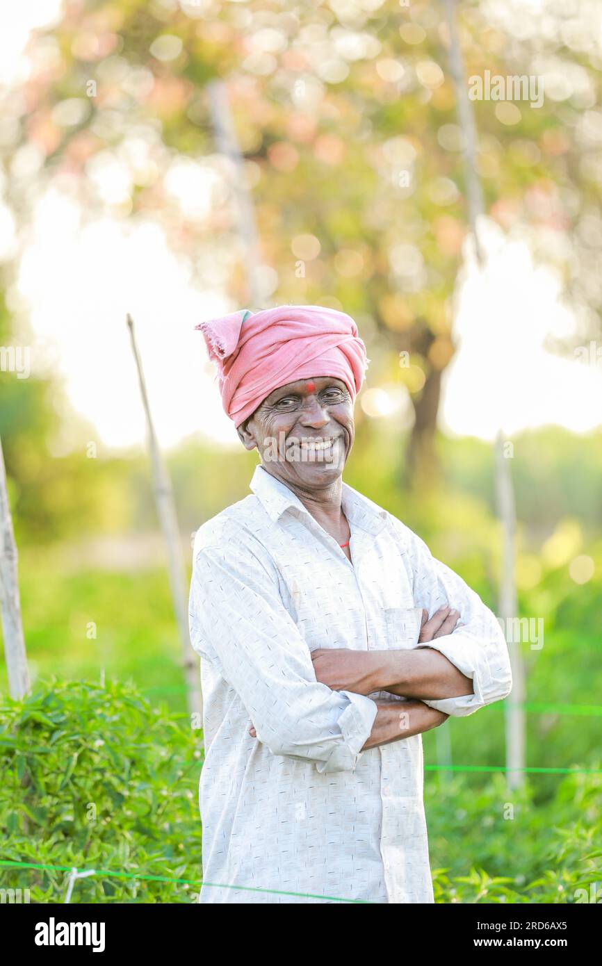 heureux fermier indien debout dans la ferme de piment, vieux fermier Banque D'Images
