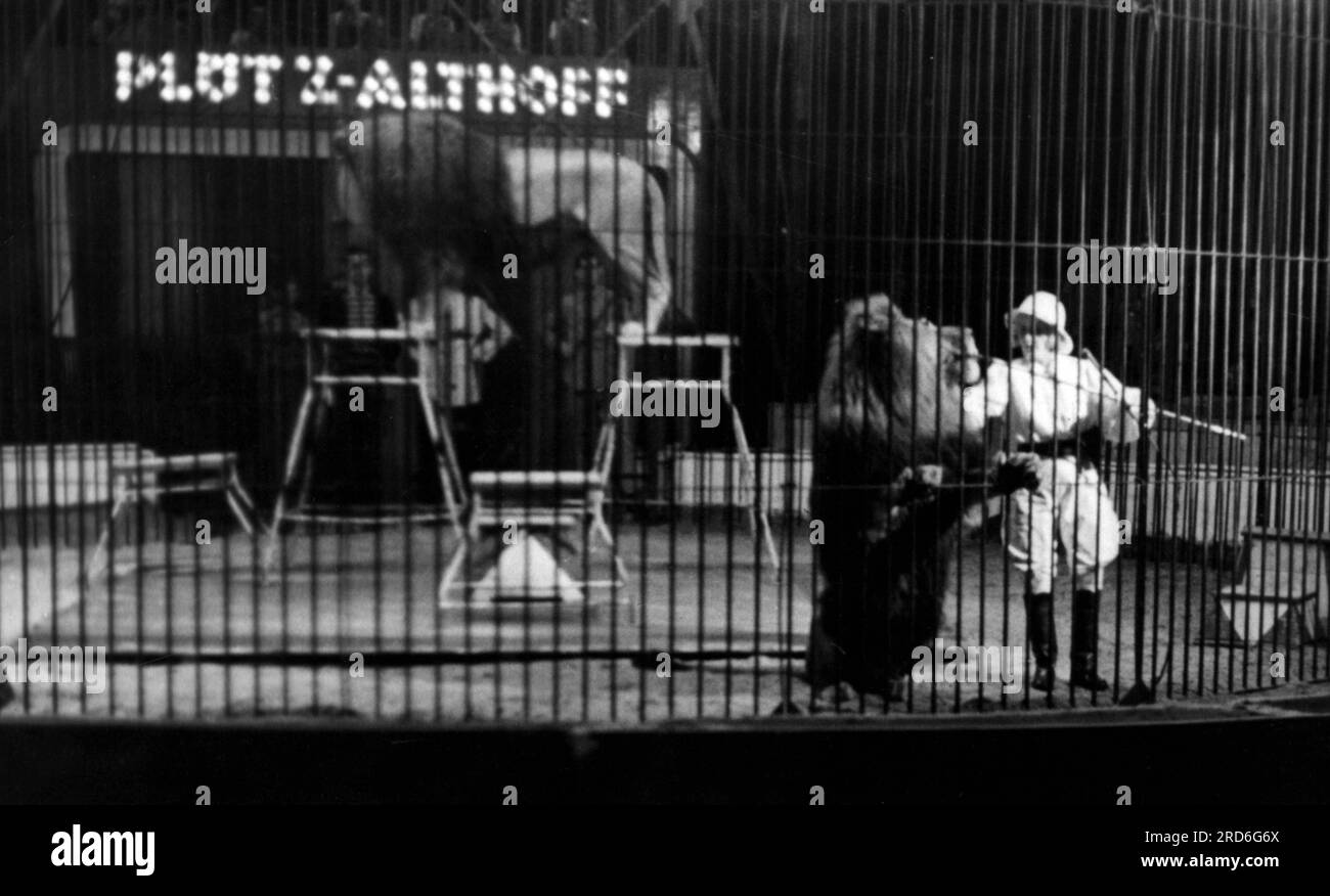 Cirque, dressage, dompteur avec lion, Circus Ploetz Althoff, années 1950, INFORMATIONS-AUTORISATION-DROITS-SUPPLÉMENTAIRES-NON-DISPONIBLES Banque D'Images