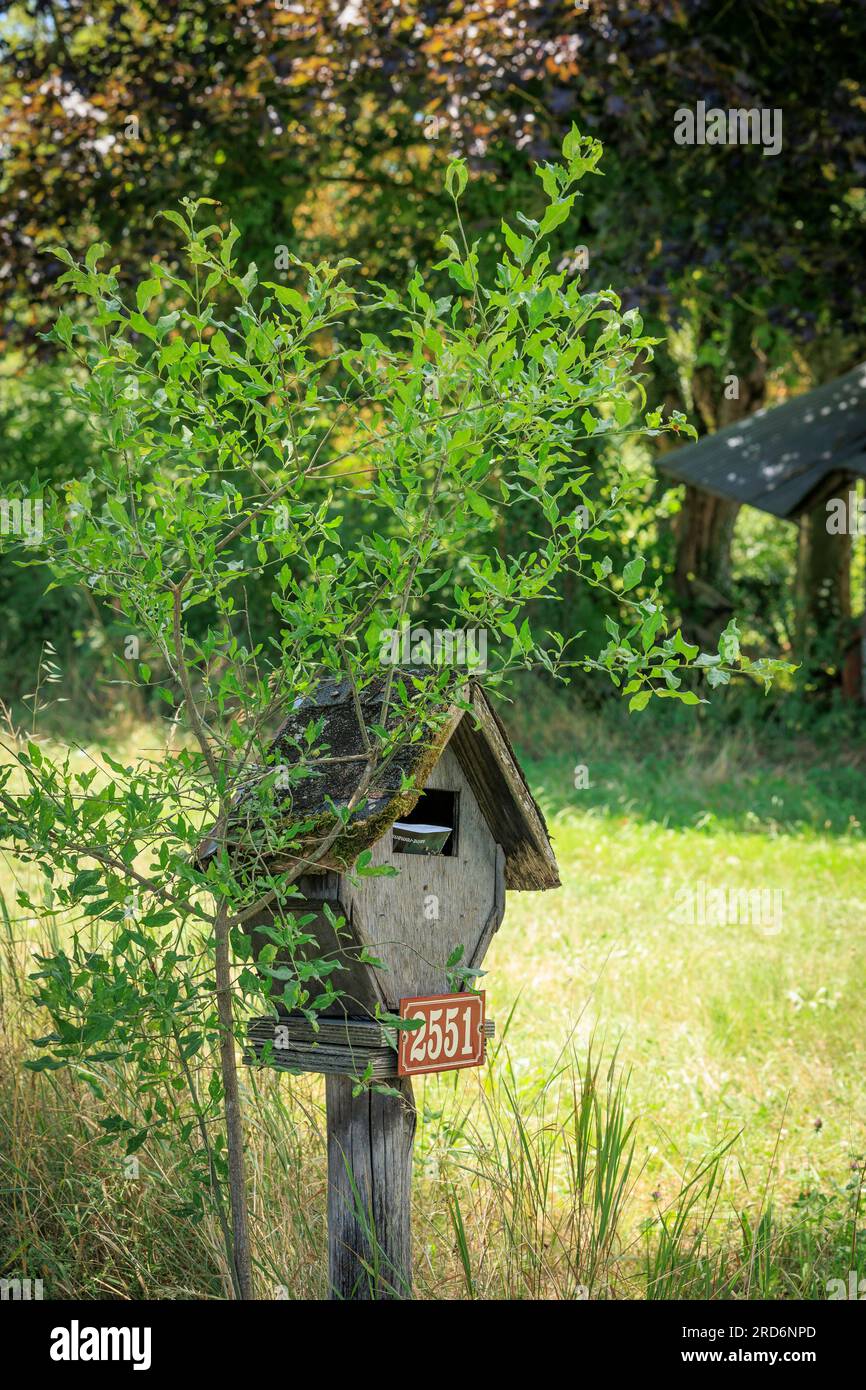 Ancienne boîte aux lettres à la ferme en bois dans la campagne près de Saint-Nazaire-en-Royans Drome Auvergne-Rhone-Alpes France Banque D'Images