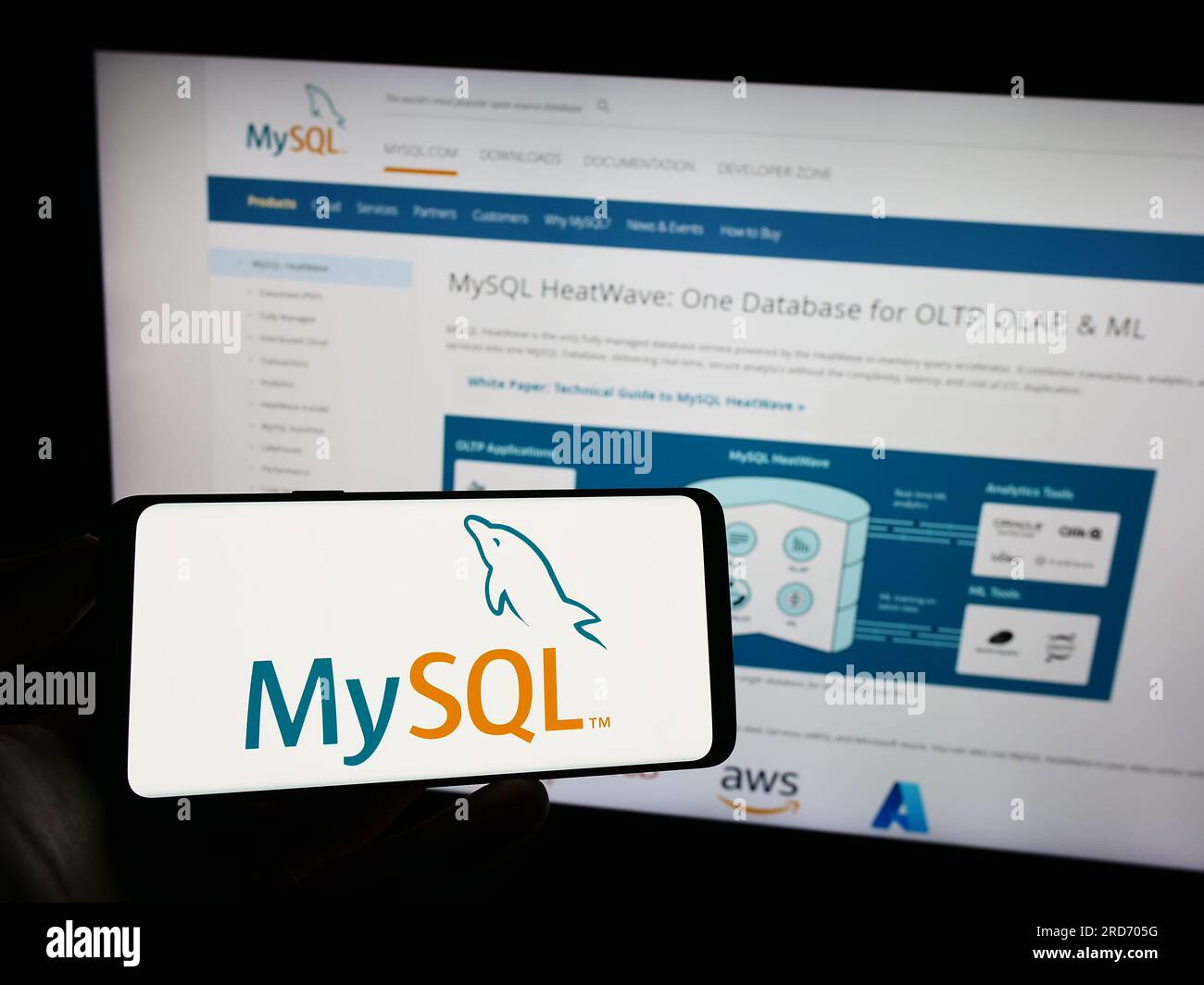 Personne tenant le téléphone mobile avec le logo du système de gestion de base de données relationnelle MySQL sur l'écran en face de la page Web. Concentrez-vous sur l'affichage du téléphone. Banque D'Images Personne tenant le téléphone mobile avec le logo du système de gestion de base de données relationnelle MySQL sur l'écran en face de la page Web. Concentrez-vous sur l'affichage du téléphone. Banque D'Images