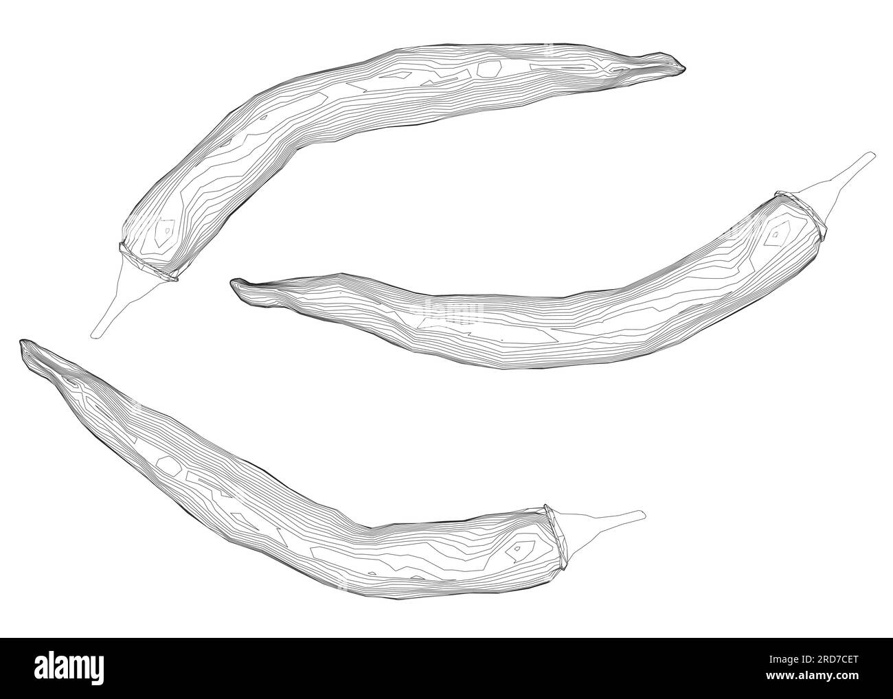 Contour piments Chili, dessin noir et blanc, éclosion. Image de contour des aliments. Illustration vectorielle isolée sur fond blanc. Illustration de Vecteur