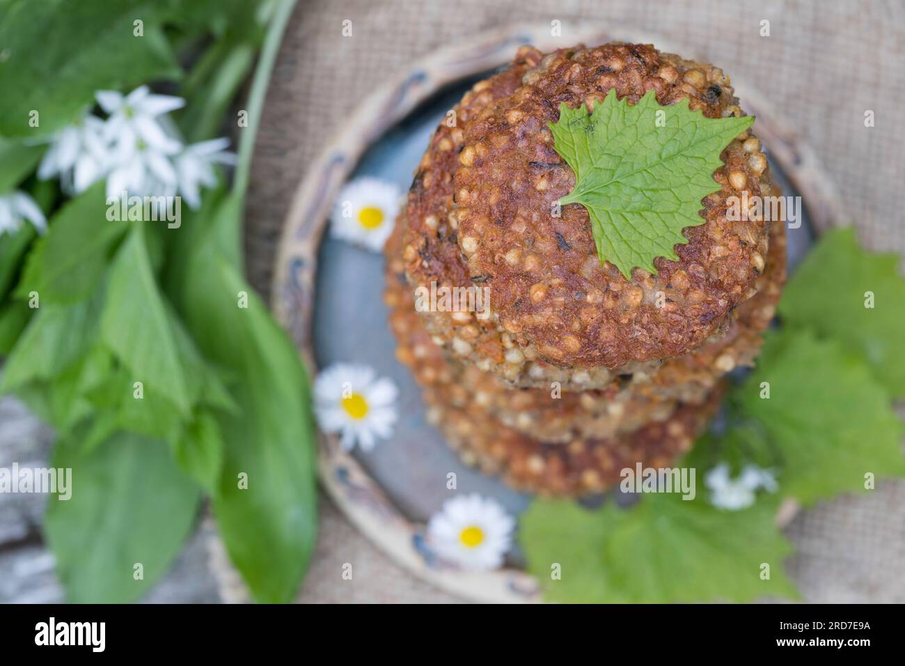 Kräuter-Bratlinge, Bratling, Burger, Kräuterburger, Kräuter-Burger, Kräuter-Frikadelle, vegan, vegetarisch, Patty, Pattys, Patties, Kräuter-Patty, Krä Banque D'Images Kräuter-Bratlinge, Bratling, Burger, Kräuterburger, Kräuter-Burger, Kräuter-Frikadelle, vegan, vegetarisch, Patty, Pattys, Patties, Kräuter-Patty, Krä Banque D'Images
