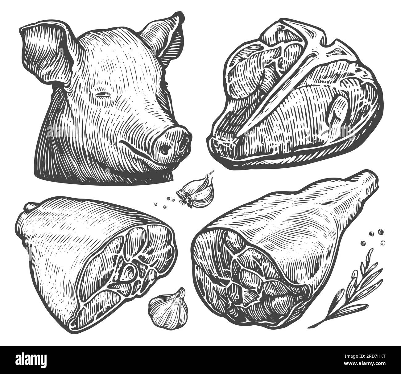 Ensemble de coupes de viande de ferme. Steak de bœuf, jambon, bacon, tête de porc. Concept alimentaire. Illustration d'esquisse dessinée à la main Banque D'Images