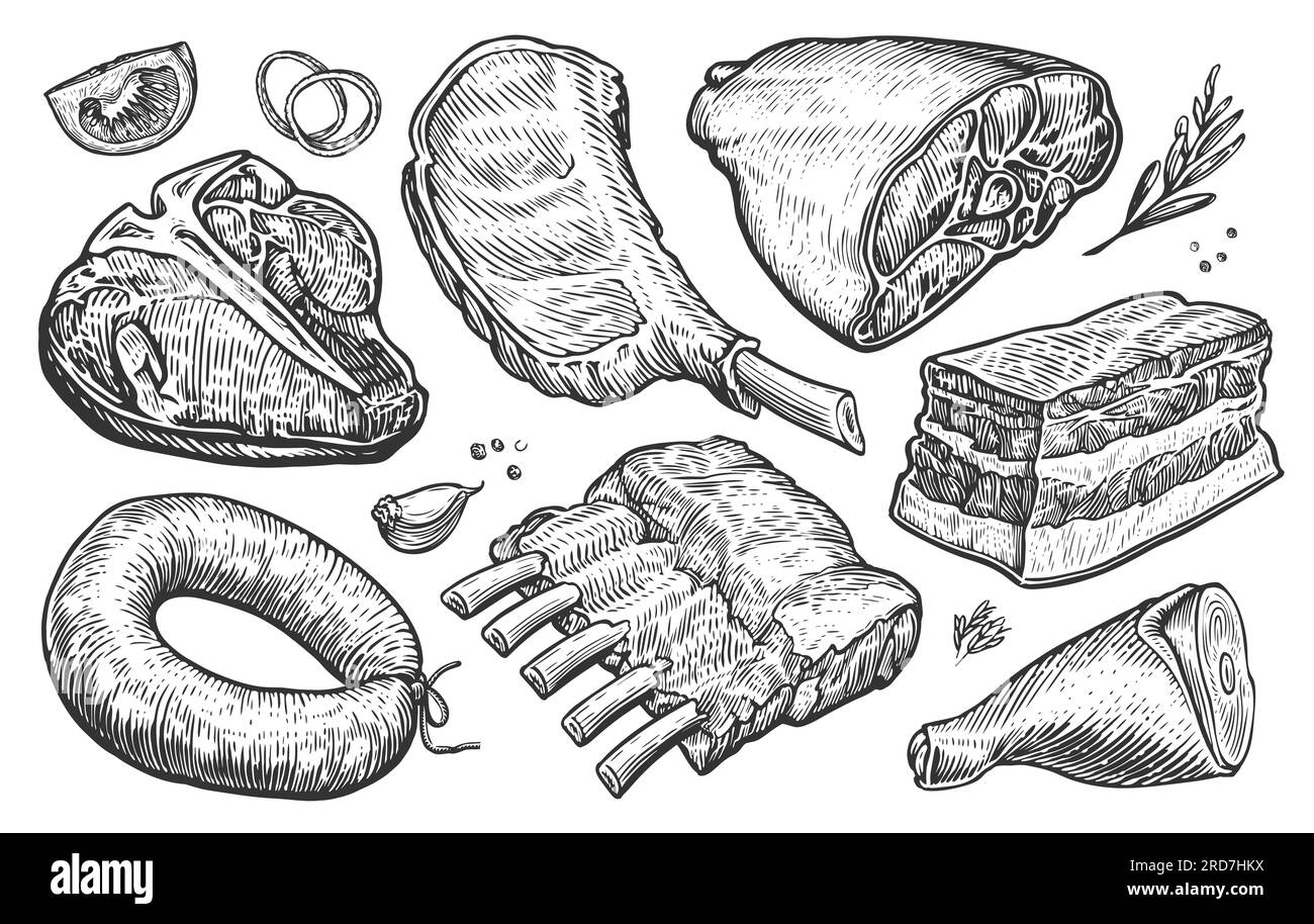 Produits de viande de ferme frais. Illustration dessinée à la main pour boucherie ou menu de restaurant. Esquisse style gravé Banque D'Images