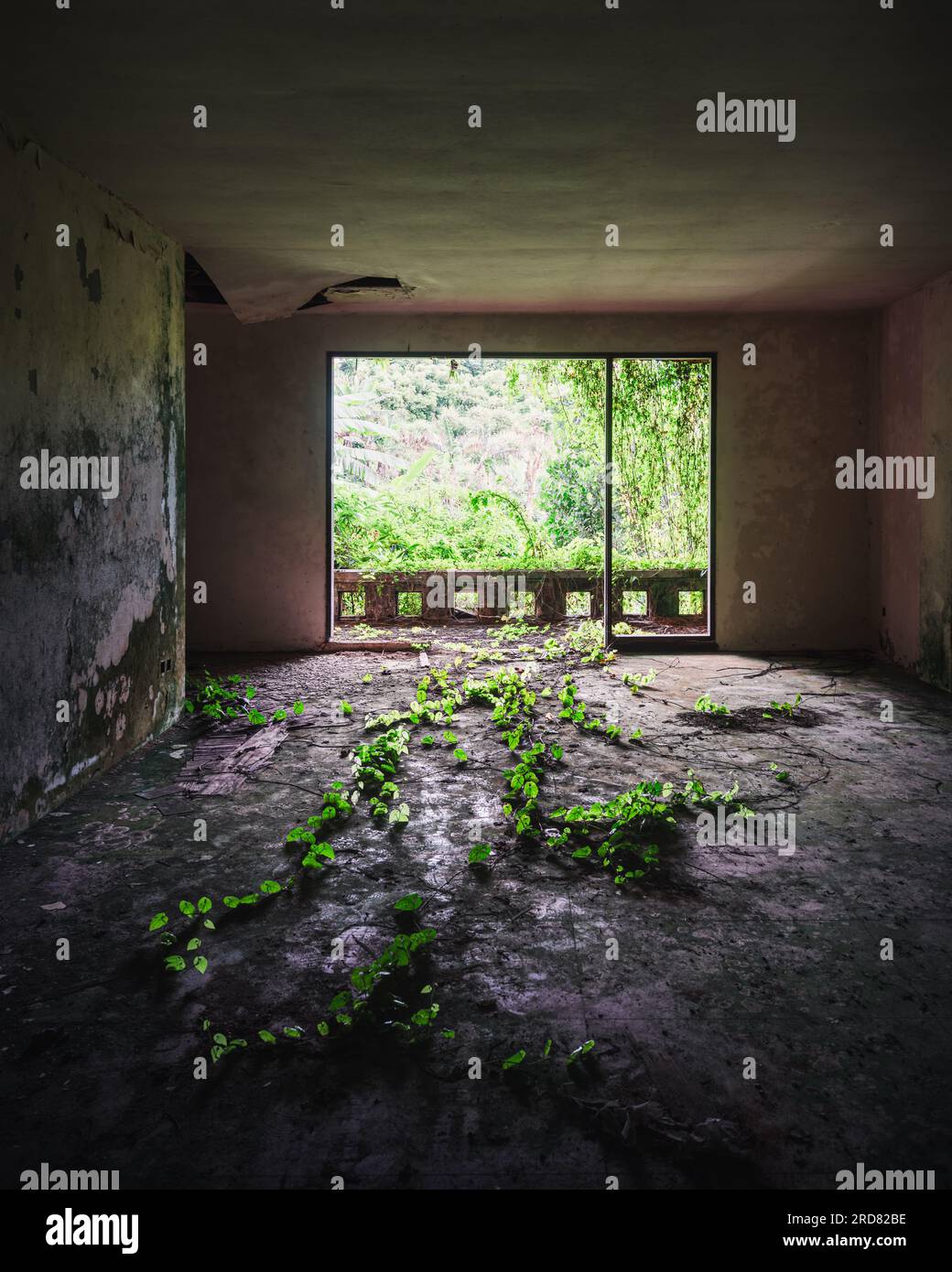 Abandoned Bedugul Taman Hôtel, le Palais fantôme de Bali Banque D'Images