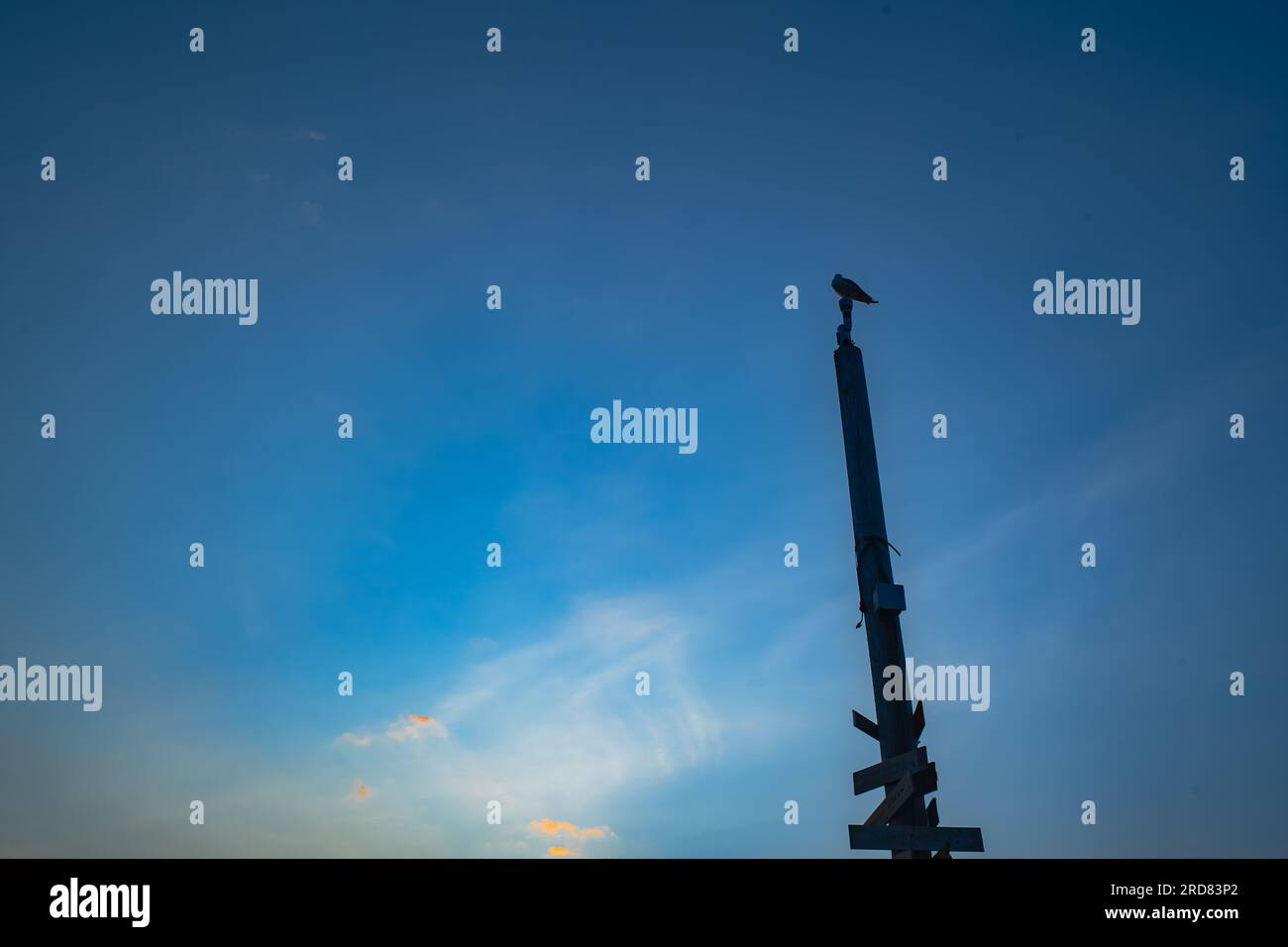 Lever du soleil de Toronto de Lakeshore à Etobicoke, Canada, jour d'été. Banque D'Images