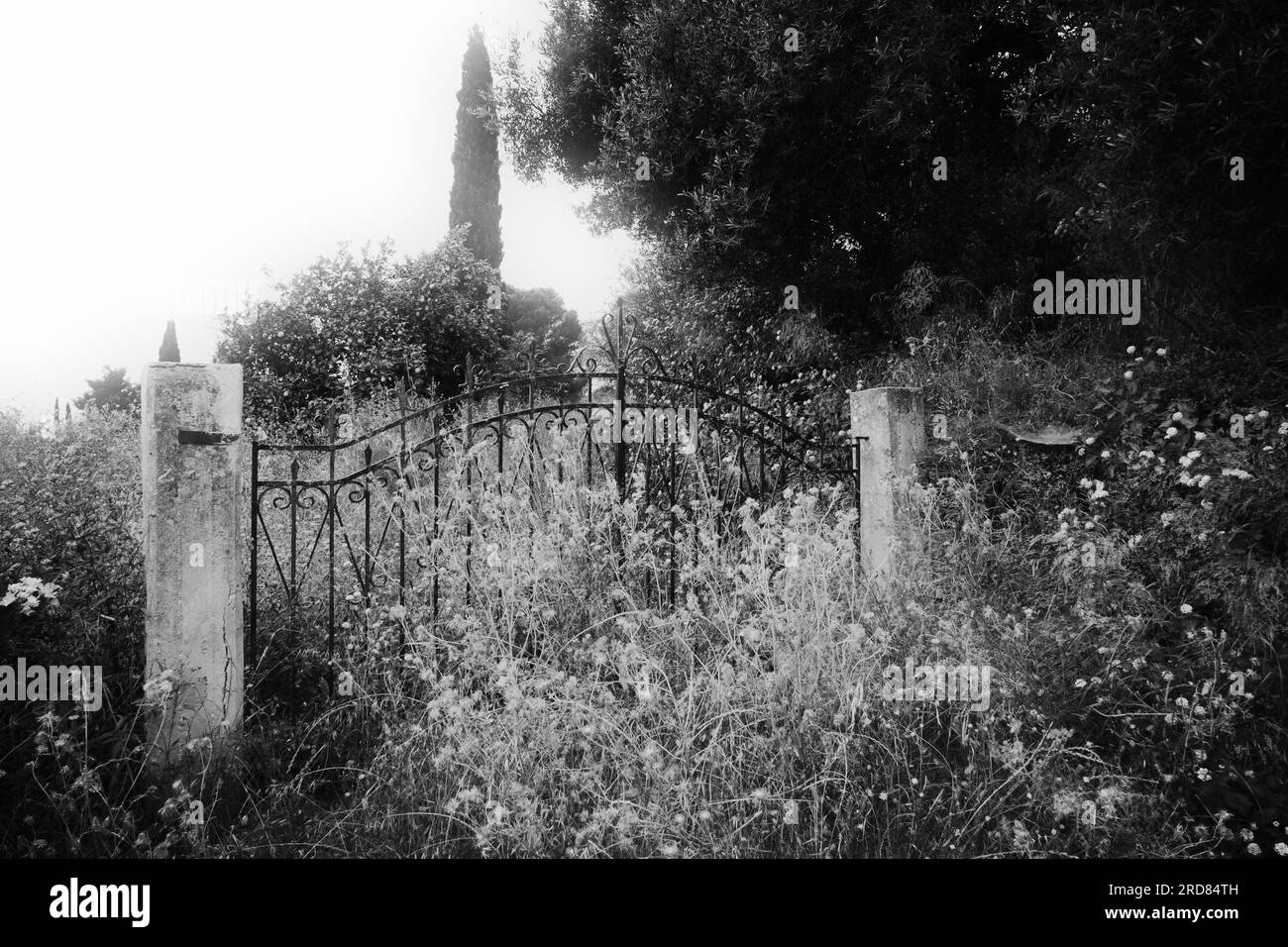 Image monochrome d'une fois grandes portes d'entrée en fer forgé sur deux poteaux en béton brut sans clôture attachée très envahie, Céphalonie Grèce Banque D'Images