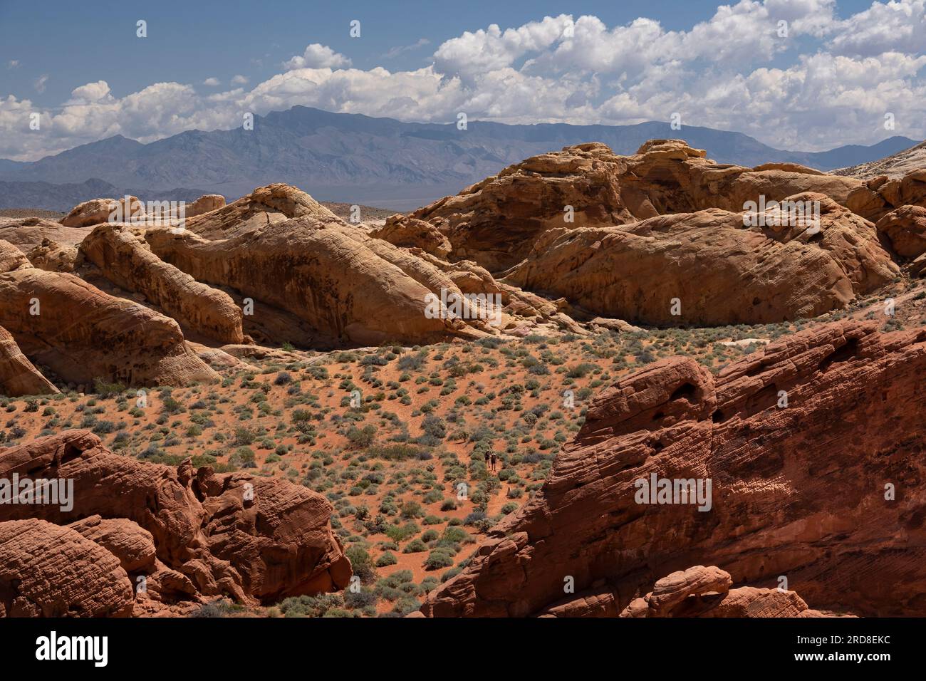 Les touristes marchent à travers l'environnement désertique du parc d'État de la Vallée de feu, Nevada, États-Unis d'Amérique, Amérique du Nord Banque D'Images