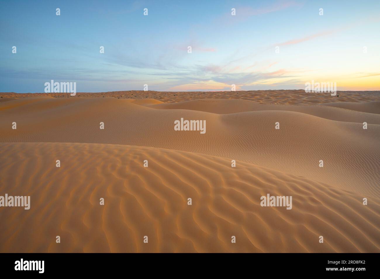 Coucher de soleil printanier aux portes du désert du Sahara, avec les dunes de sable illuminées par la lumière dorée, Tunisie, Afrique du Nord, Afrique Banque D'Images