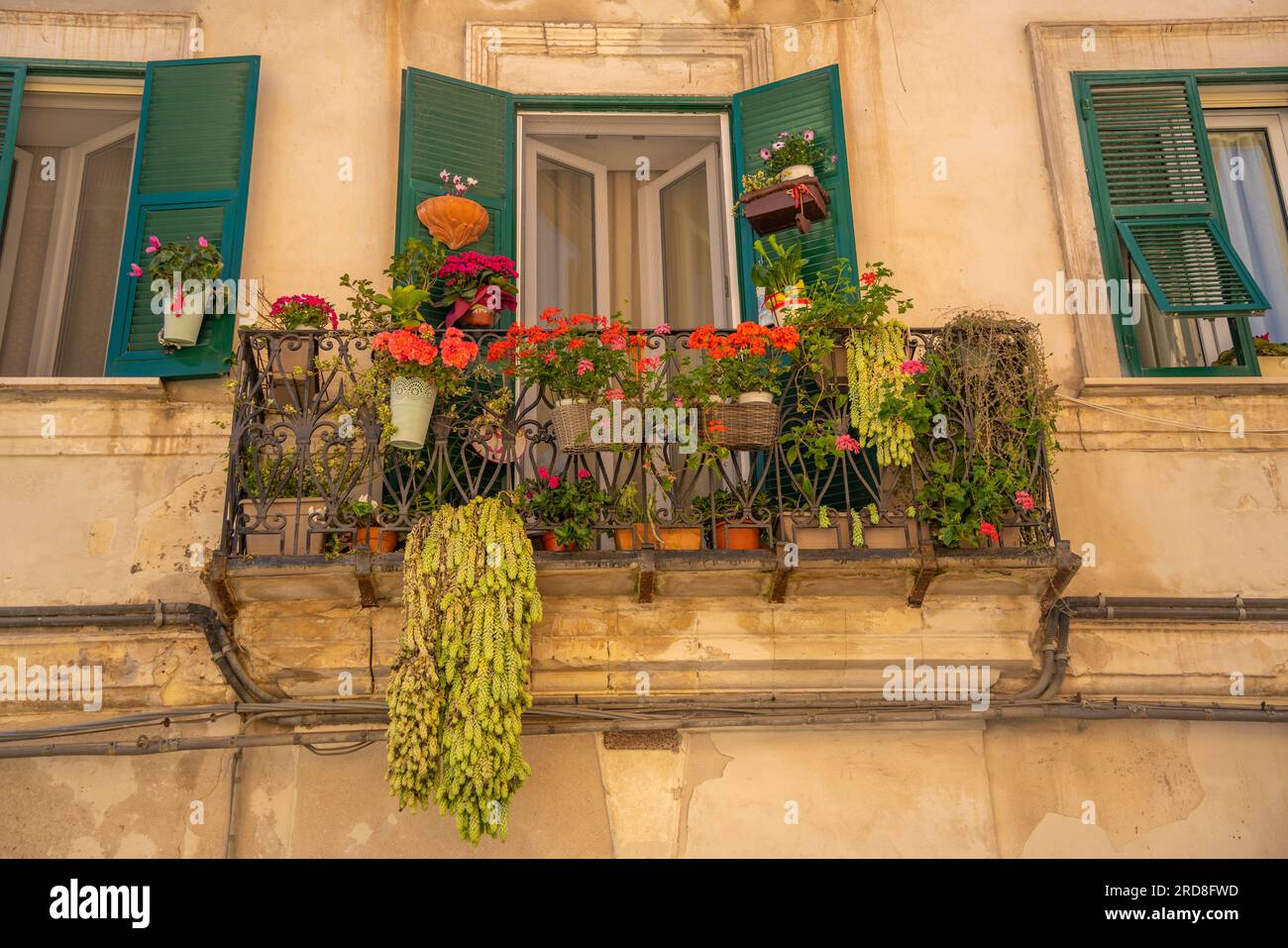 Vue du balcon traditionnel avec fleurs Piazza Duomo à Sassari, Sassari, Sardaigne, Italie, Méditerranée, Europe Banque D'Images