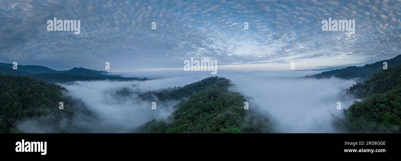 Vue aérienne du Cloudforest, Mashpi, Reserva Mashpi Amagusa, Pichincha, Équateur, Amérique du Sud Banque D'Images