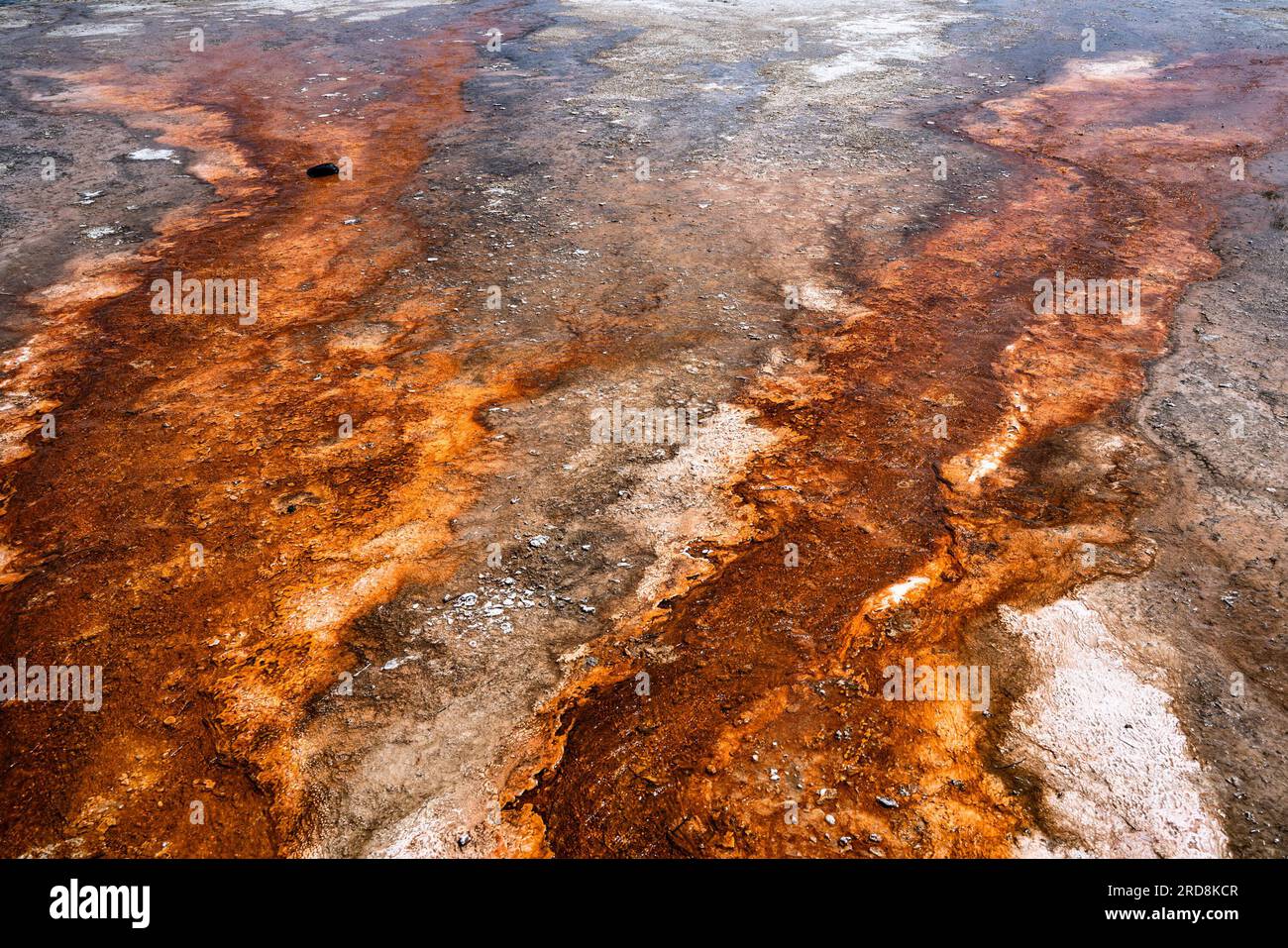 Texture formée à partir de geyser géothermique vu du parc national de Yellowstone, Wyoming. Banque D'Images