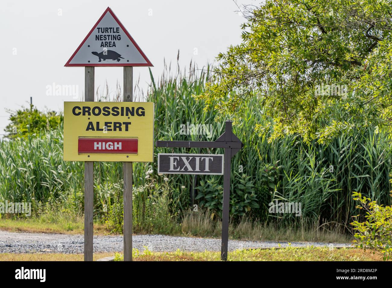 Stone Harbor, New Jersey – 17 juin 2023 : panneau de passage des tortues avertissant les conducteurs de surveiller les tortues près du Wetlands Institute à Stone Harbor, New Je Banque D'Images