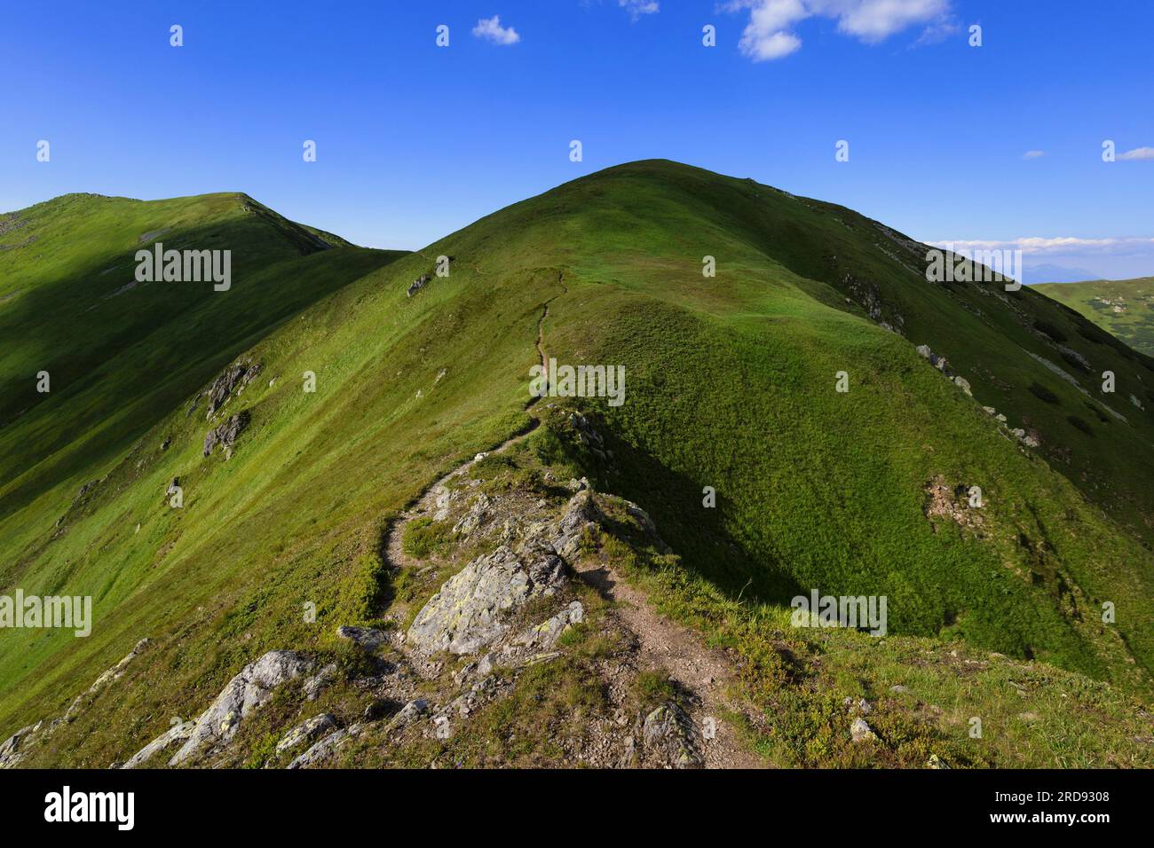 Kotliska, Basse Tatras, Slovaquie. Paysage de montagne en été pendant la journée ensoleillée. Sentier menant au sommet de la grande montagne. Banque D'Images