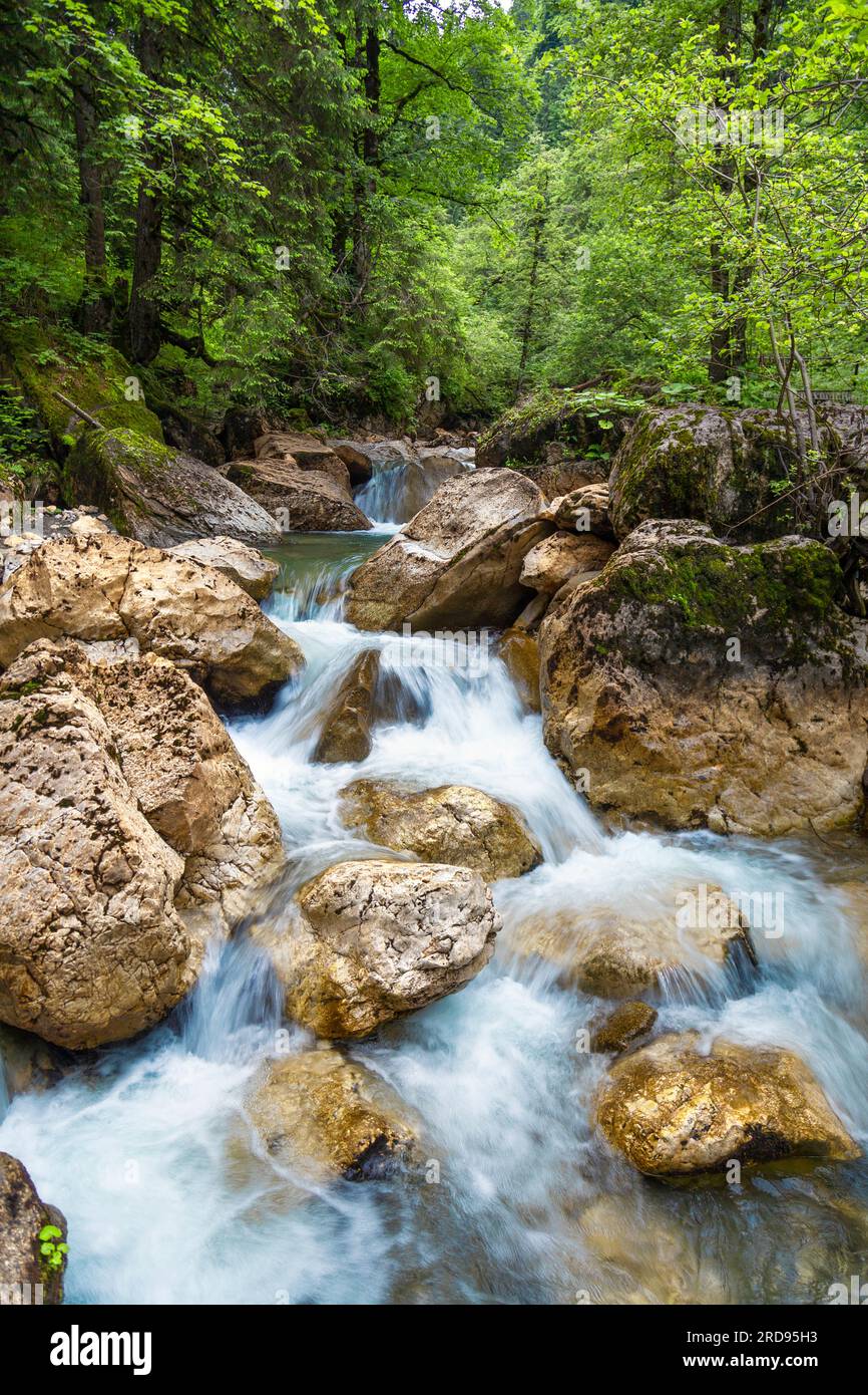 Cascades sur la rivière Ialomița près de Lacul Scropoasa, montagnes Bucegi, Roumanie Banque D'Images