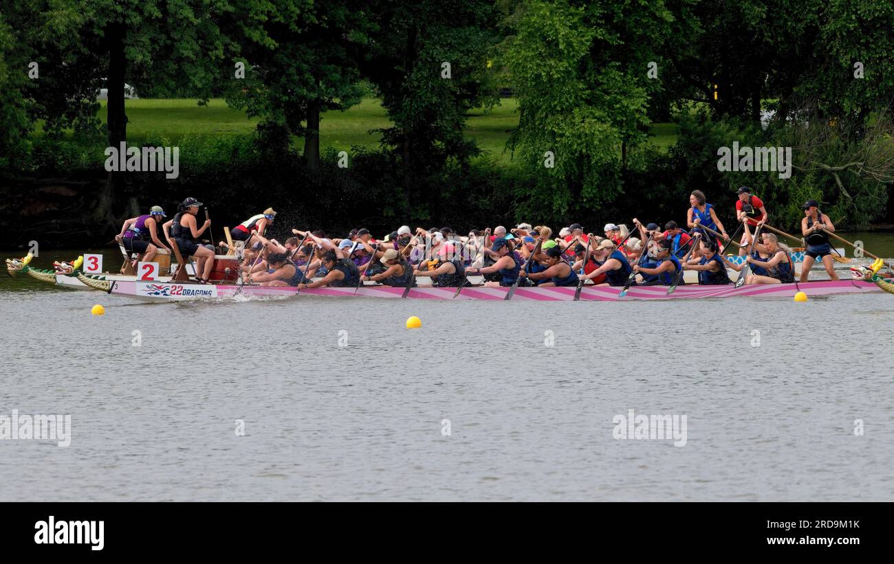 Dragon Boat Racing Cooper River Banque D'Images