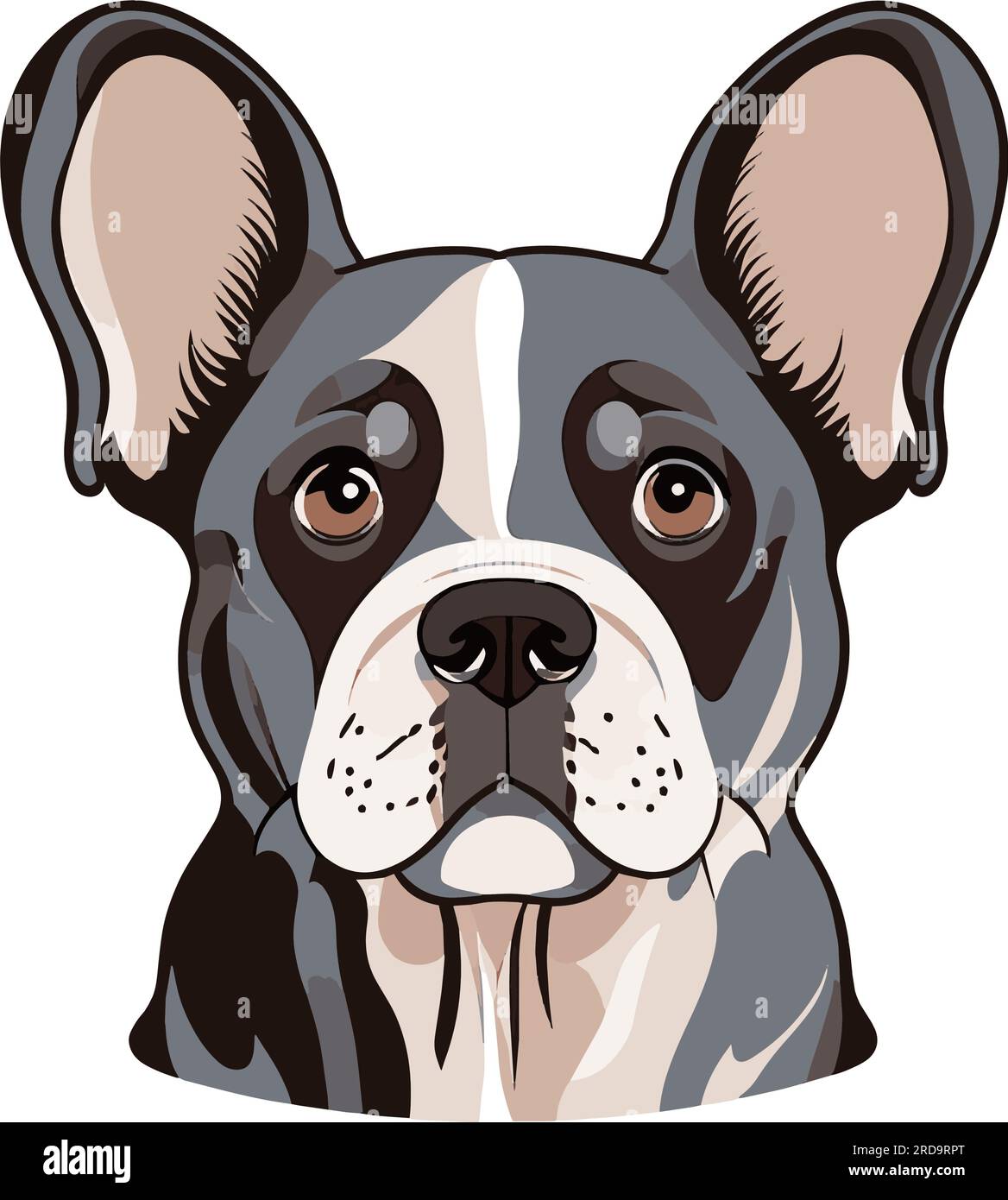 Portrait de bulldog français isolé sur fond blanc. Illustration vectorielle plate Illustration de Vecteur