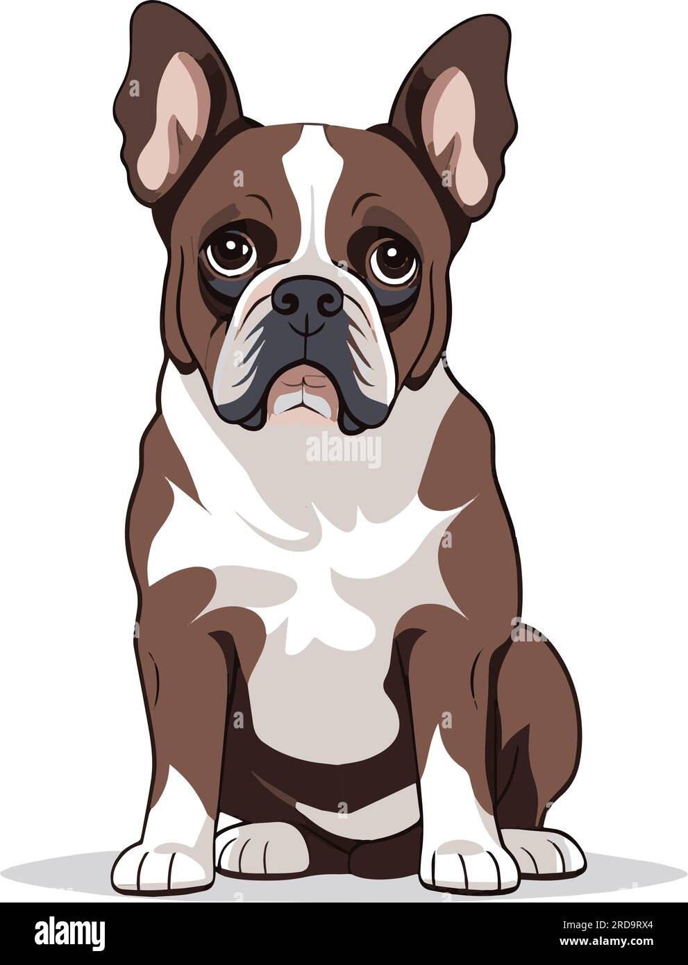 Bulldog français isolé sur fond blanc. Illustration vectorielle plate Illustration de Vecteur