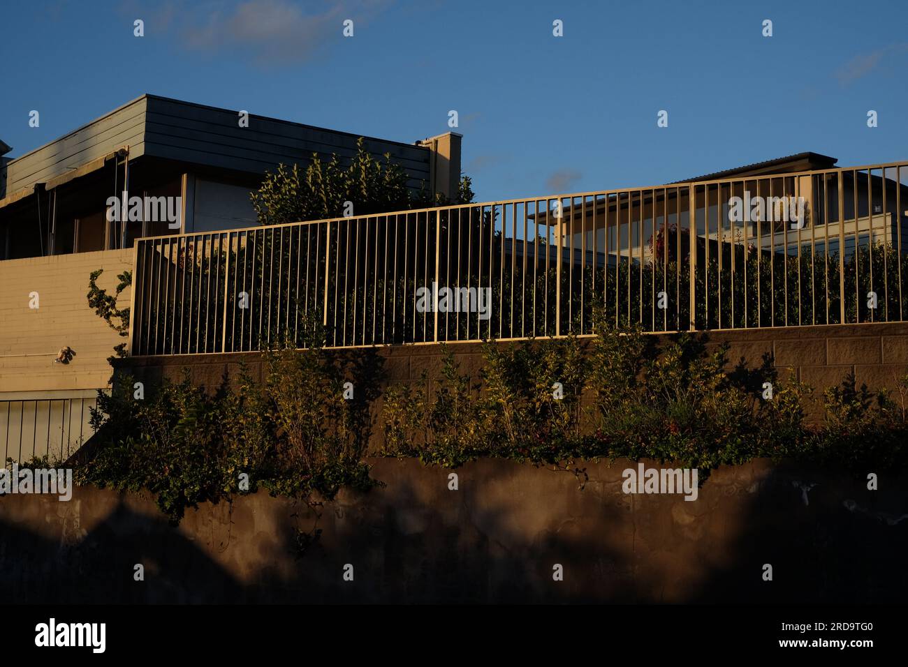 Boîte rectangulaire forme dans la lumière de fin d'après-midi, une terrasse, une balustrade métallique, des cours avant surélevées de maisons modernes dans le Vaucluse, Sydney Banque D'Images