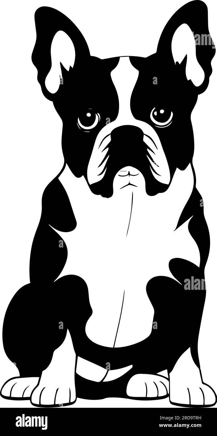 Bulldog français isolé sur fond blanc. Illustration vectorielle plate Illustration de Vecteur