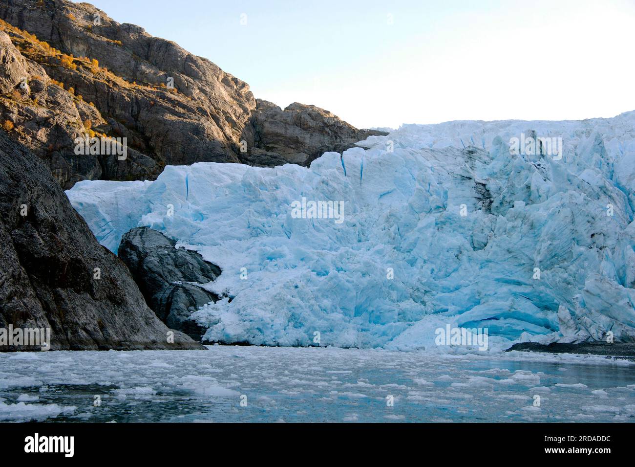 Glacier Condor dans le Parque Nacional Alberto de Agostini dans le sud de la Patagonie, Chili Banque D'Images