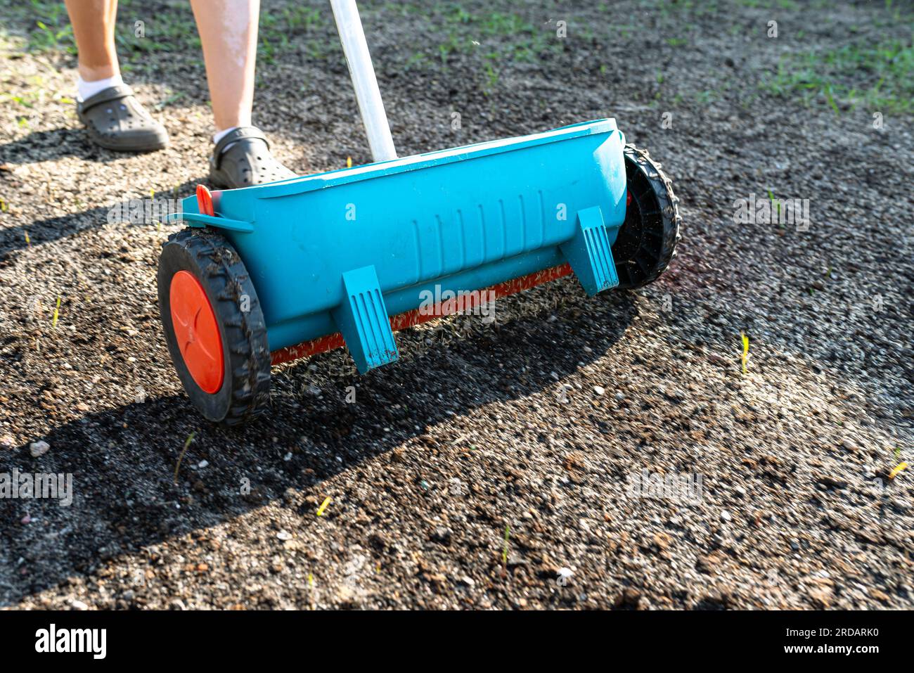 Une femme sème de l'herbe avec un semoir à roues, des grains visibles d'herbe et de la terre noire. Banque D'Images