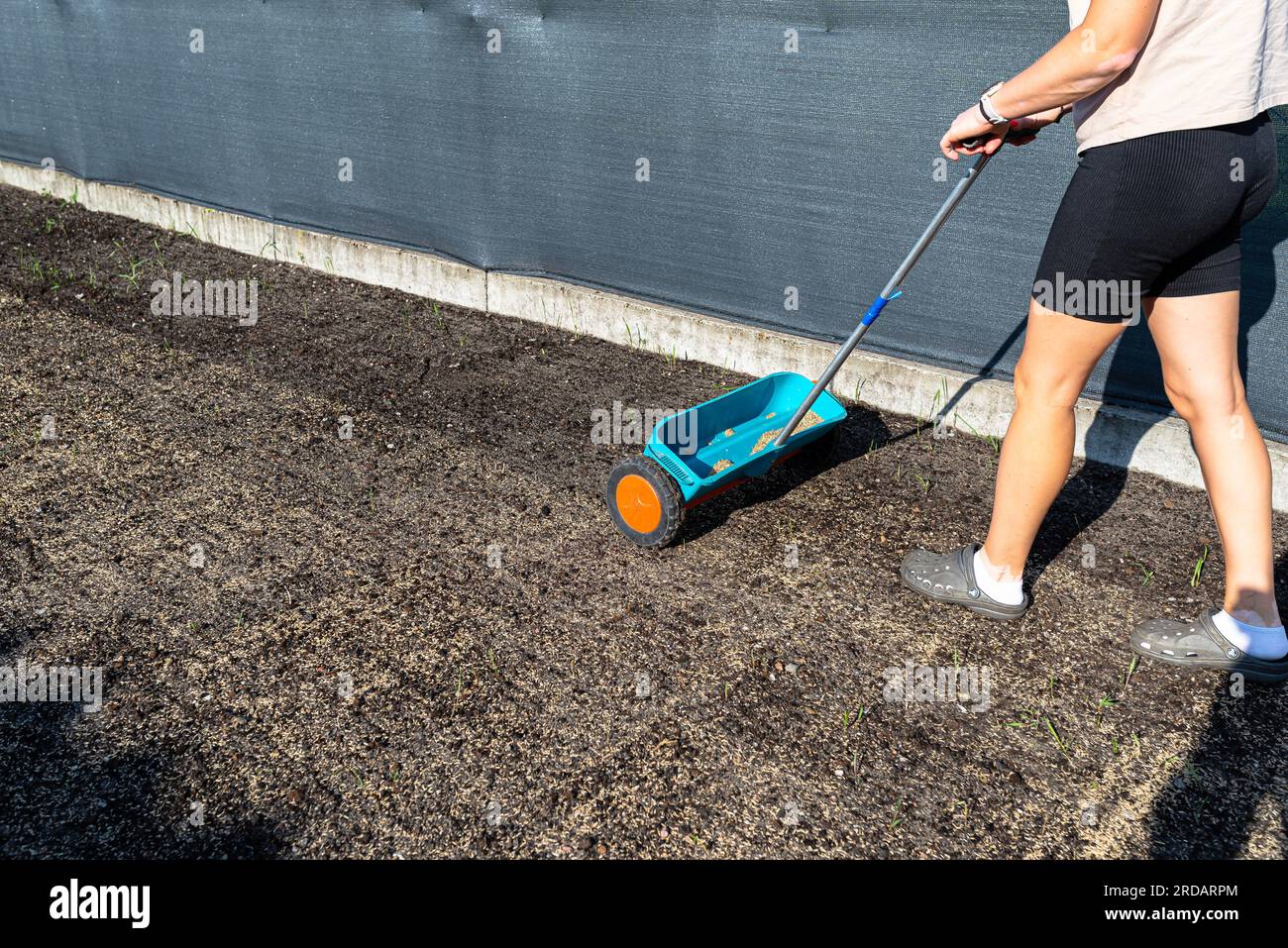 Une femme sème de l'herbe avec un semoir à roues, des grains visibles d'herbe et de la terre noire. Banque D'Images