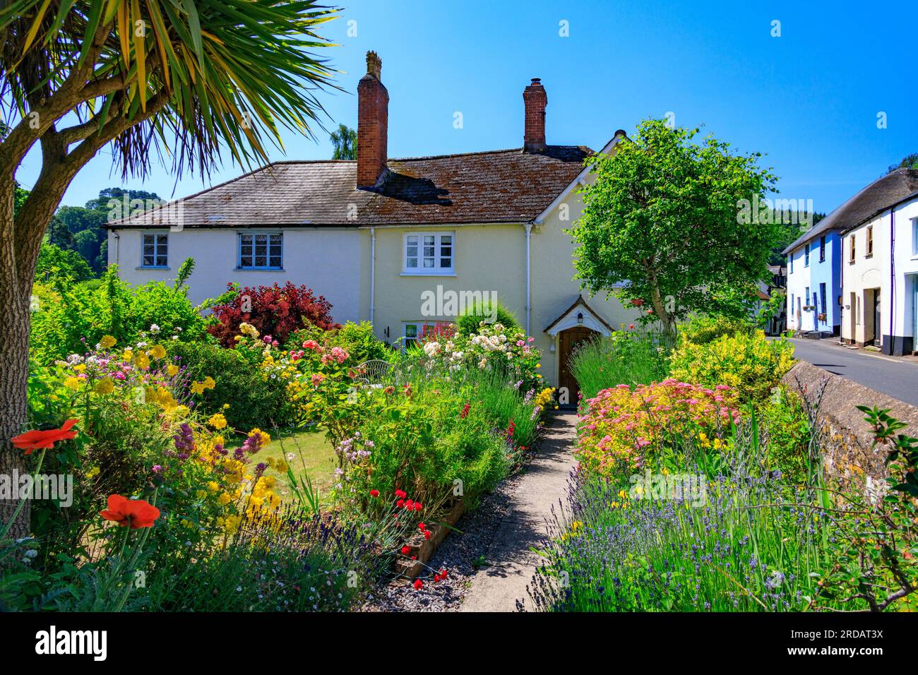 Un jardin cottage traditionnel et coloré à Dunster, Somerset, Angleterre, Royaume-Uni Banque D'Images