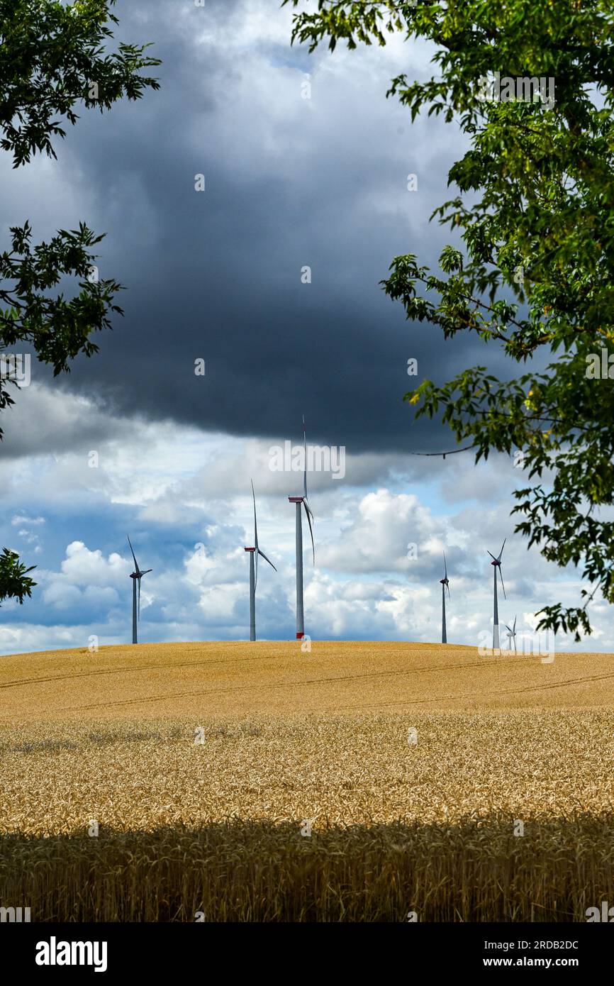 Prenzlau, Allemagne. 20 juillet 2023. Des nuages sombres peuvent être vus au-dessus d'un champ. Des conditions météorologiques changeantes sont à prévoir dans de nombreuses régions d'Allemagne pour le moment. Crédit : Jens Kalaene/dpa/Alamy Live News Banque D'Images