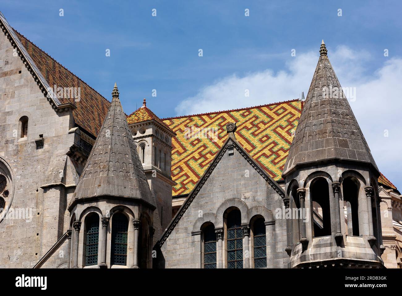 Tuiles colorées sur la Cathédrale Saint-Mammès de Langres Langres haute-Marne Grande est France Banque D'Images